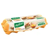 MATINES Oeufs de poules