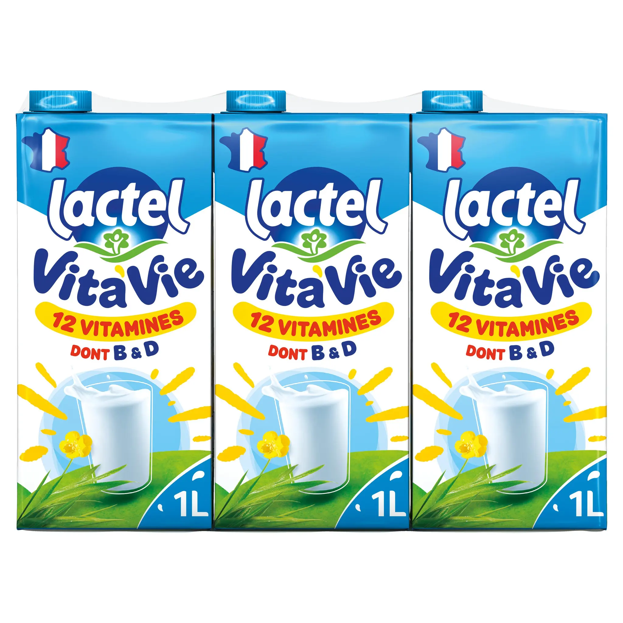 LACTEL Vita'Vie Lait 12 vitamines