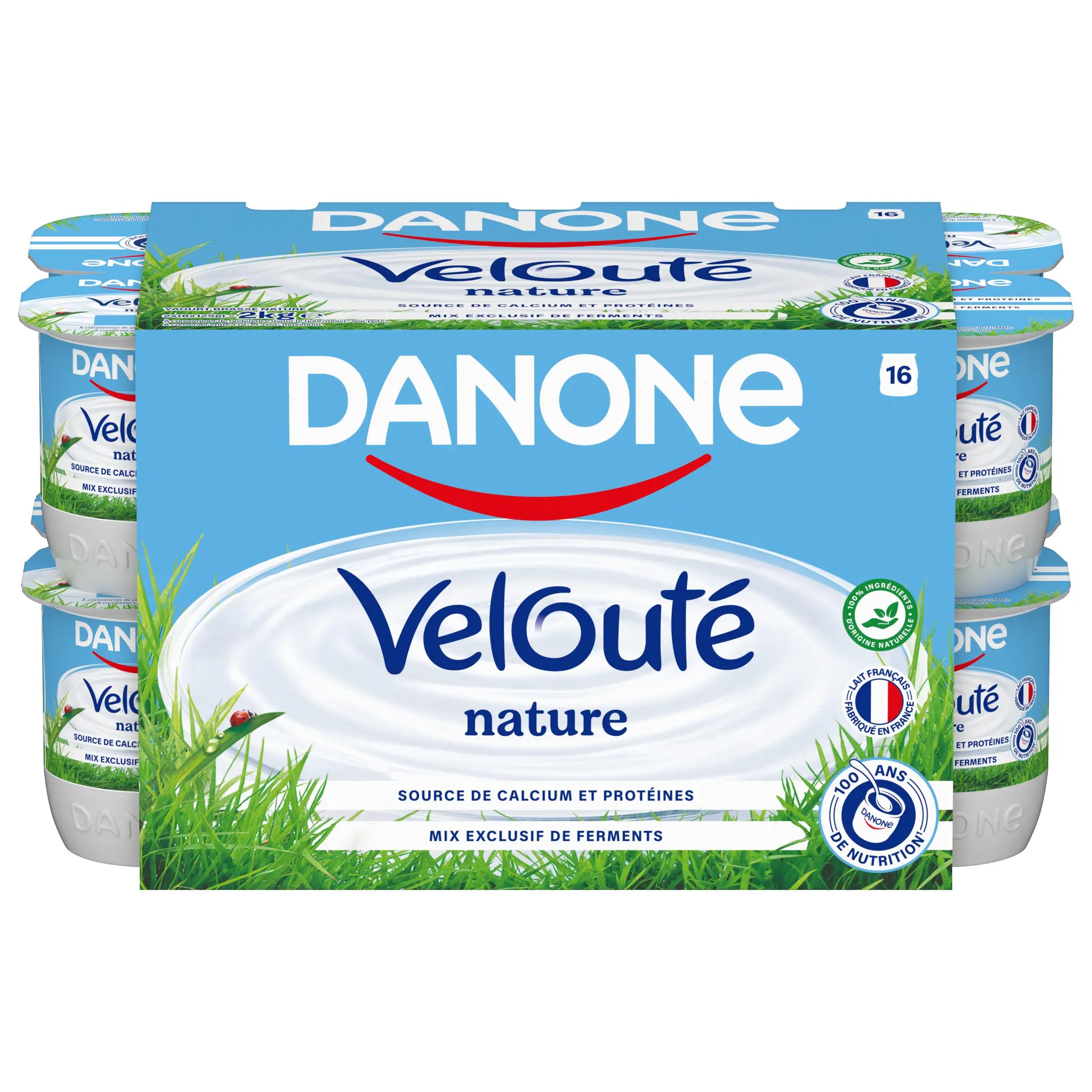 DANONE Velouté Yaourt brassé nature