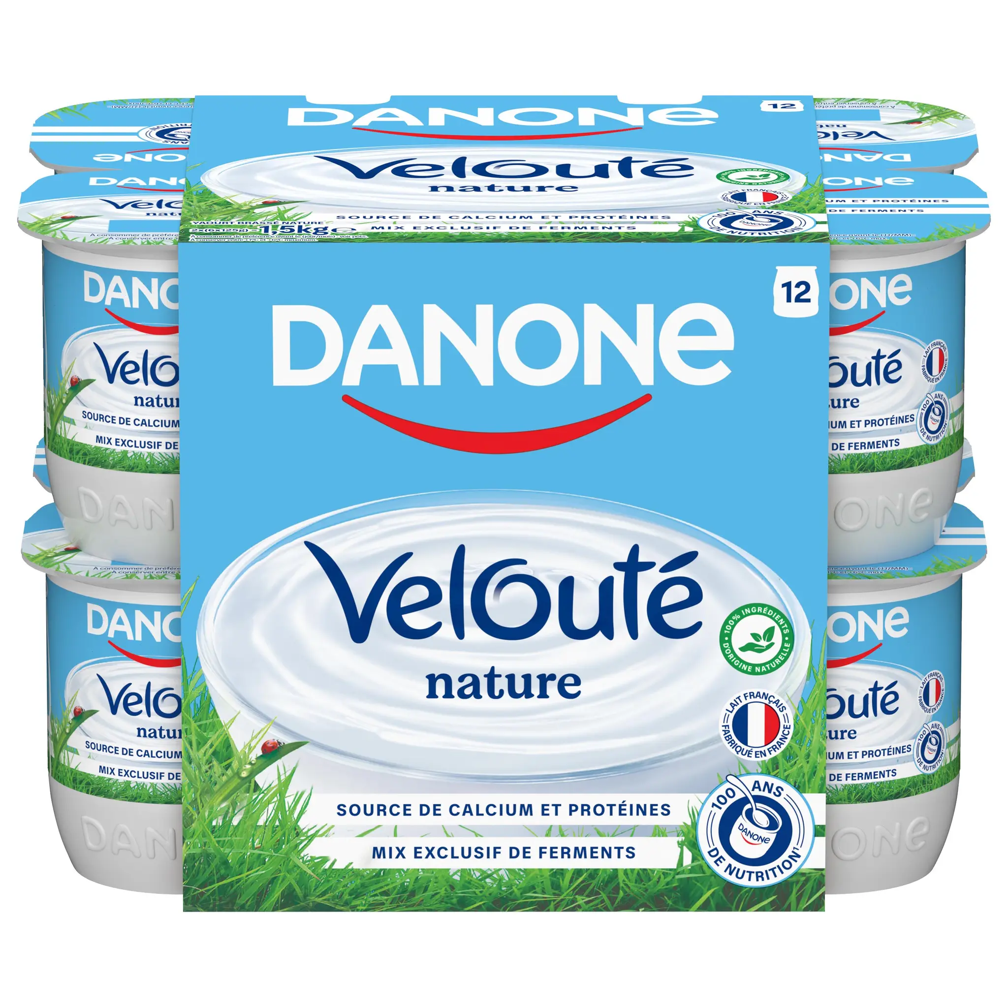 DANONE Velouté Yaourt brassé nature