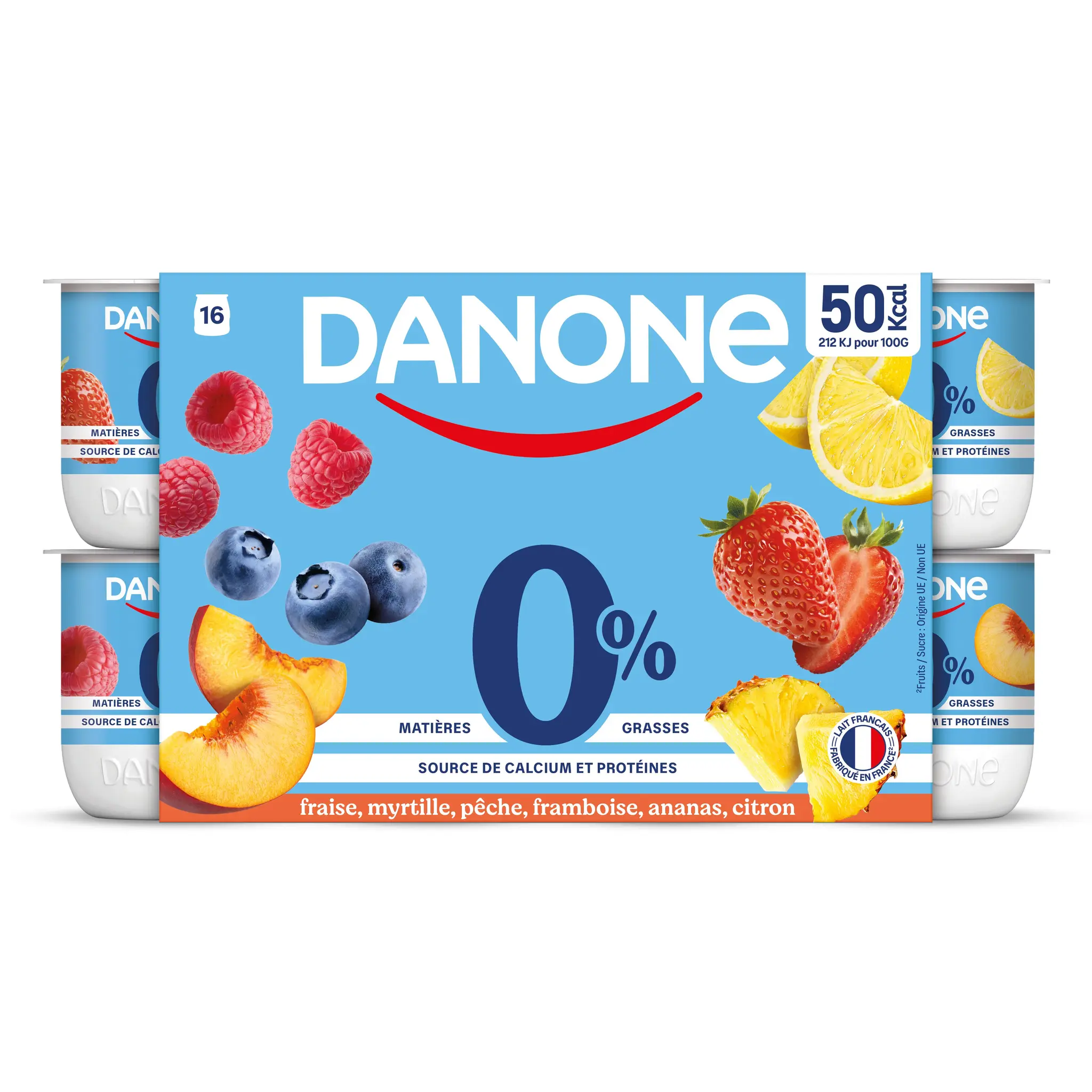 DANONE Yaourt aux fruits panaché 0% MG