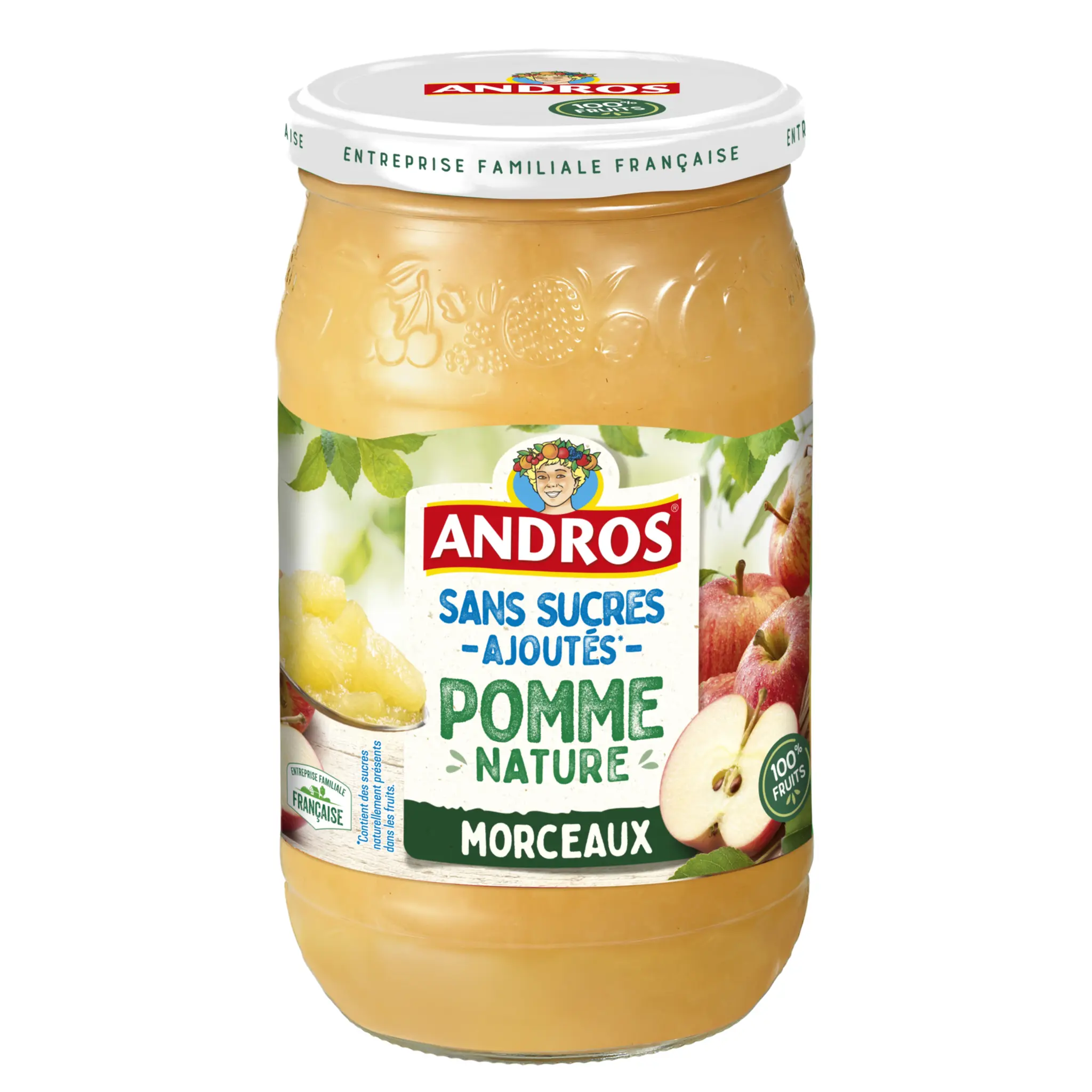 ANDROS Dessert pomme nature morceaux sans sucres ajoutés