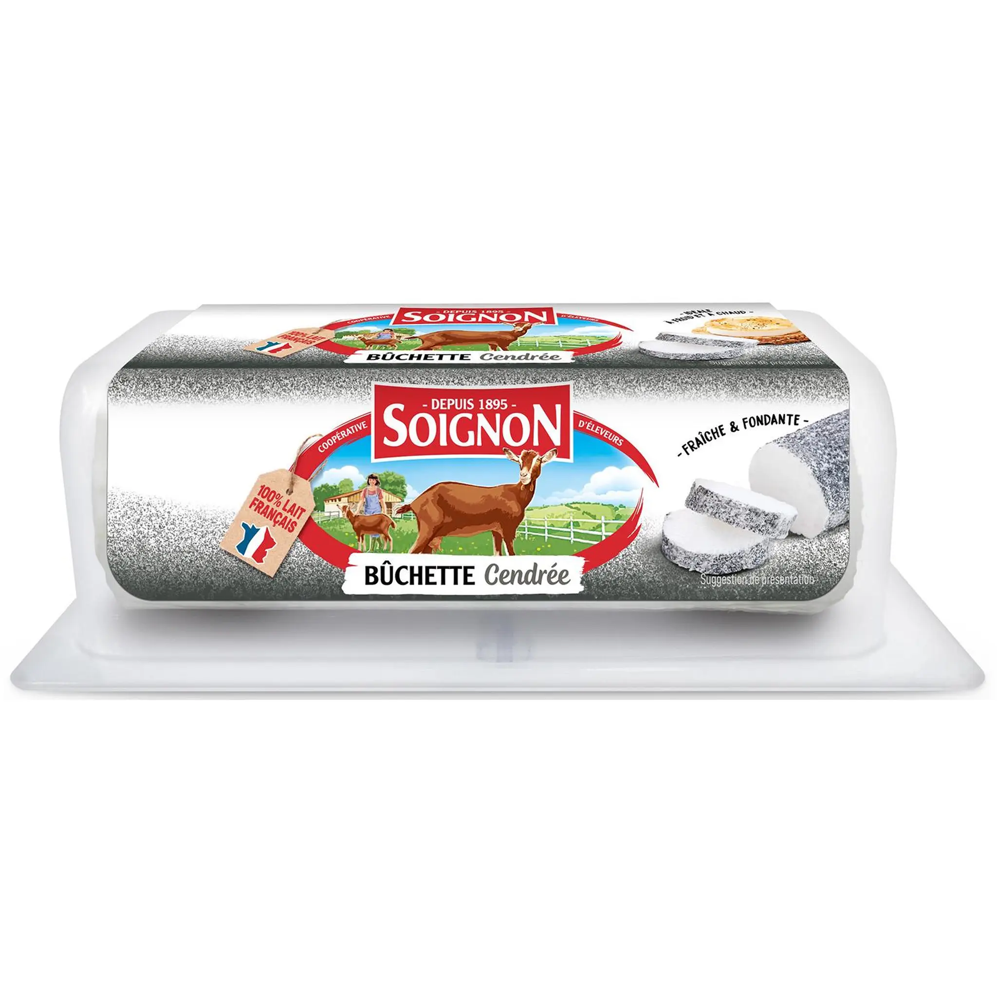 SOIGNON Buche de chèvre cendrée