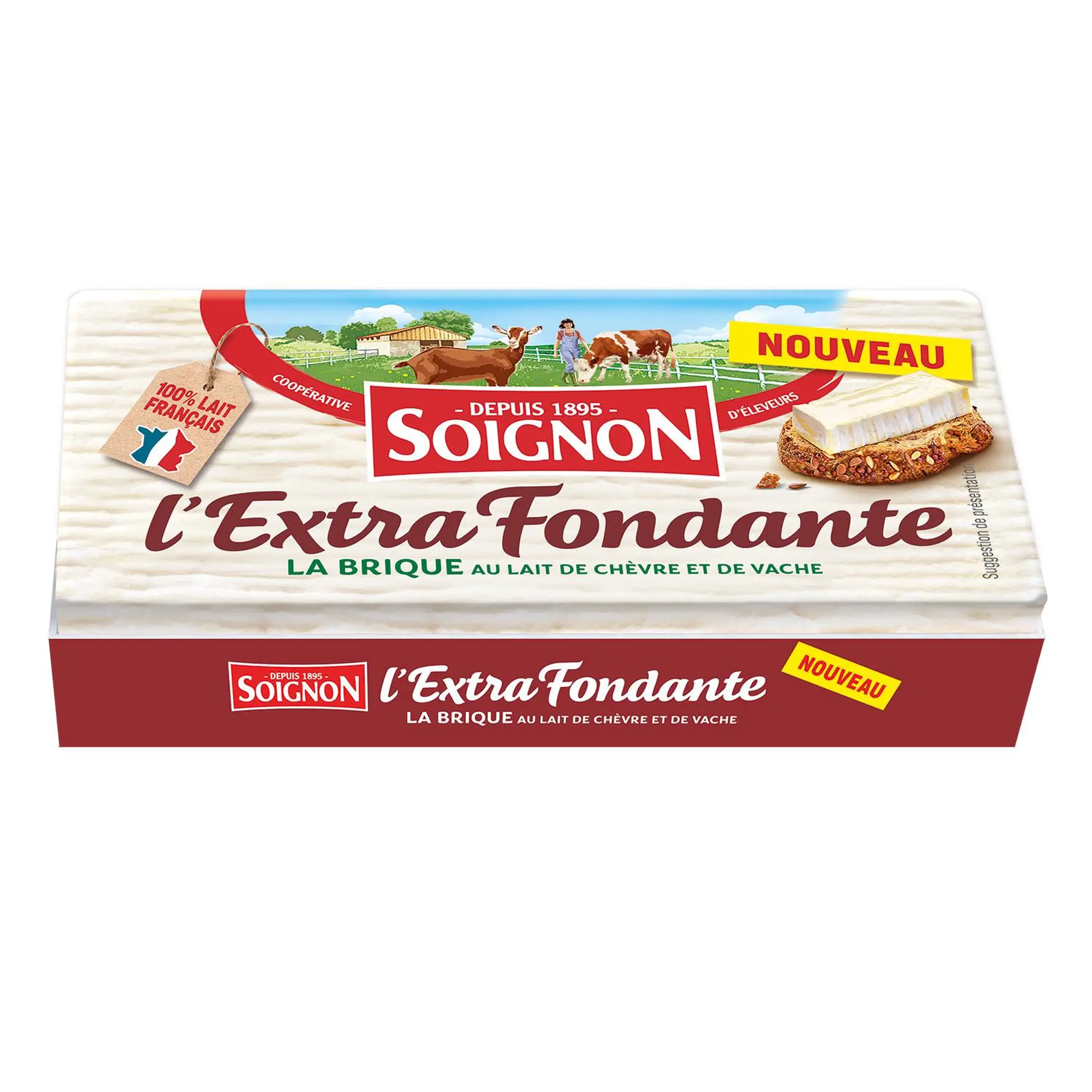 SOIGNON Fromage de chèvre fondant en brique au lait pasteurisé