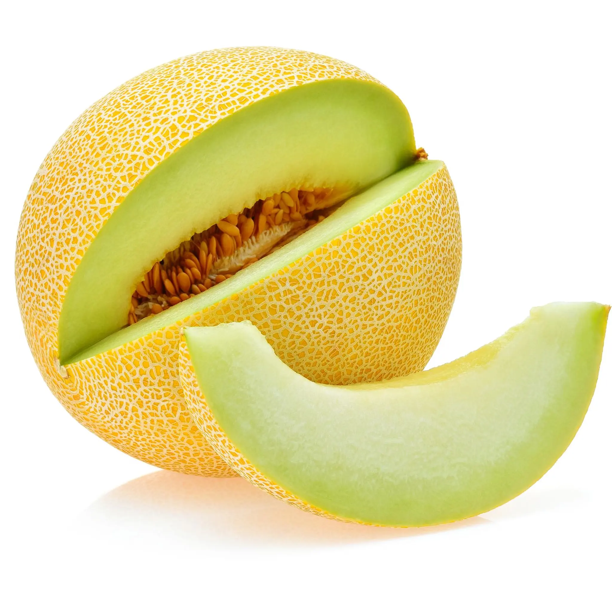 Melon galia