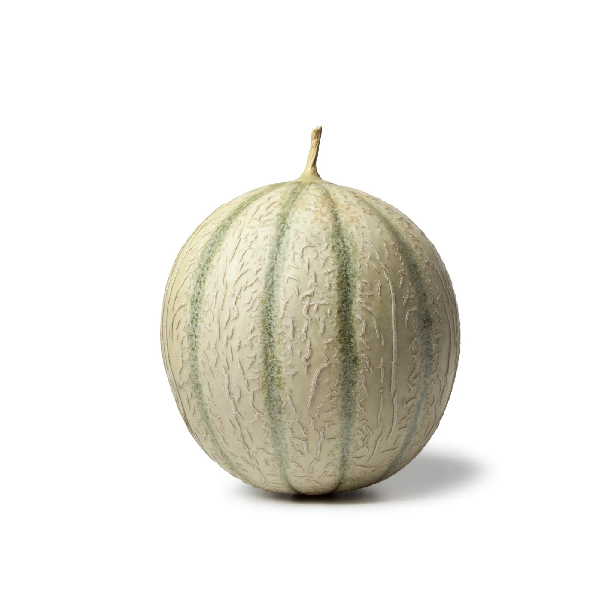 Melon charentais Prix Bas