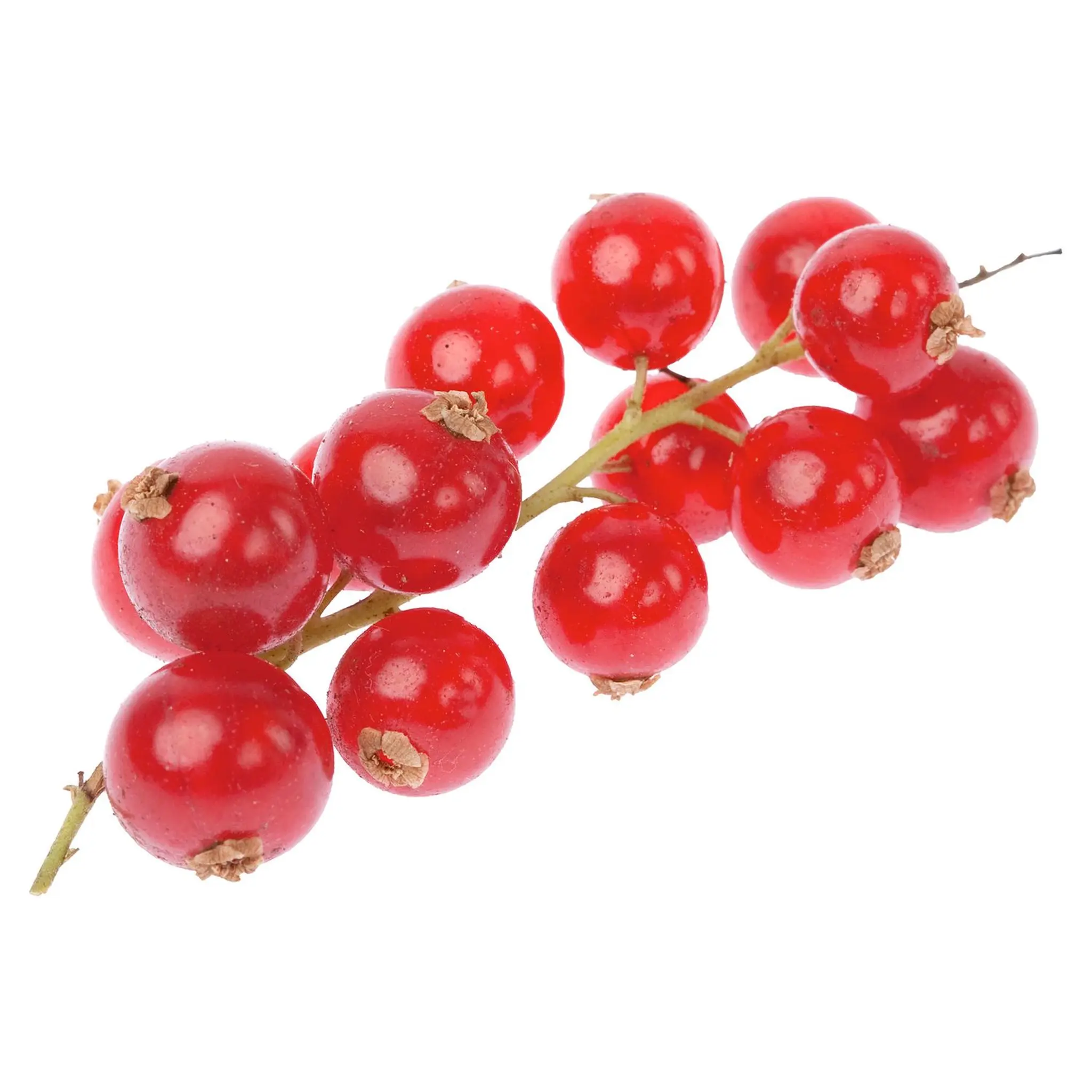 Groseilles rouges