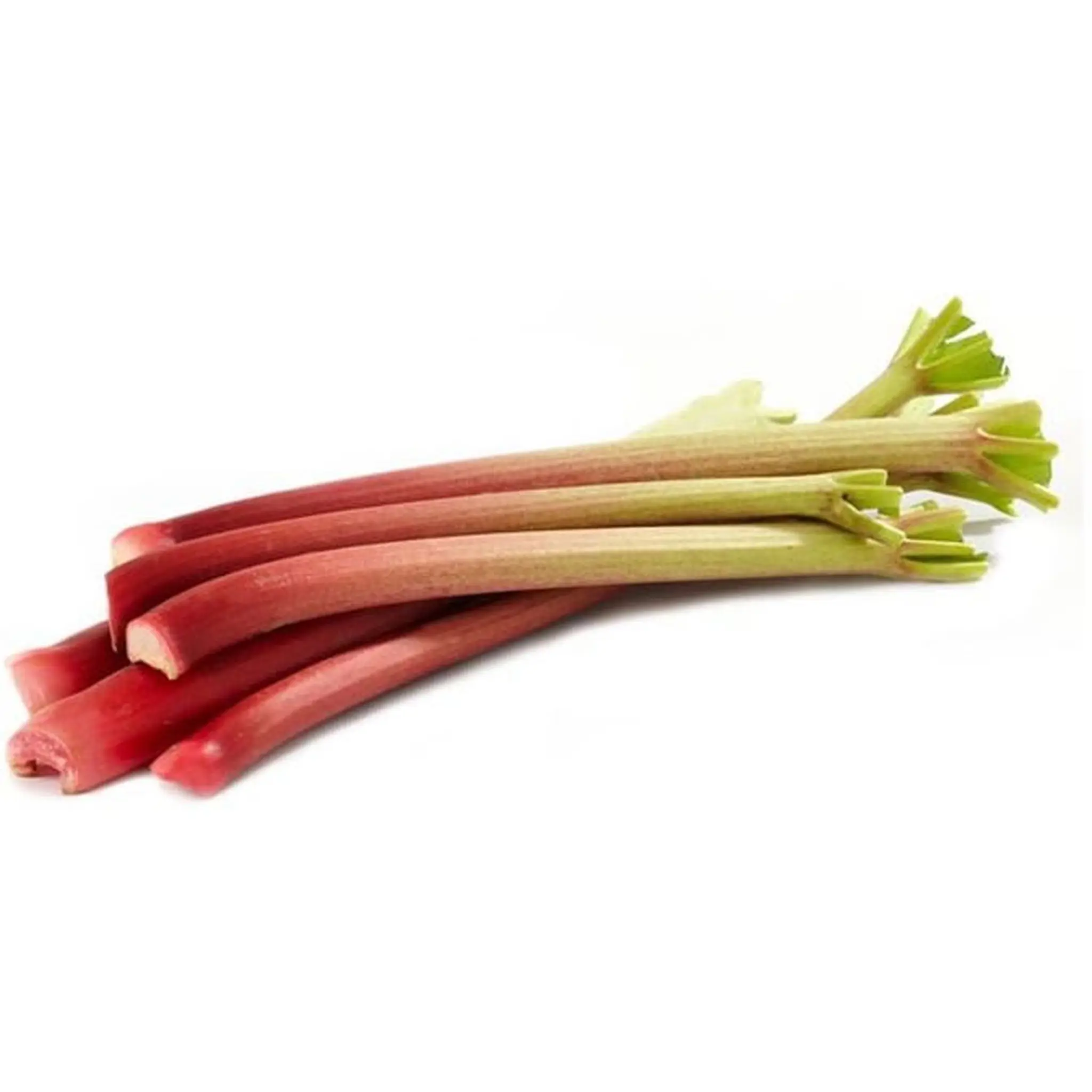 Rhubarbe botte