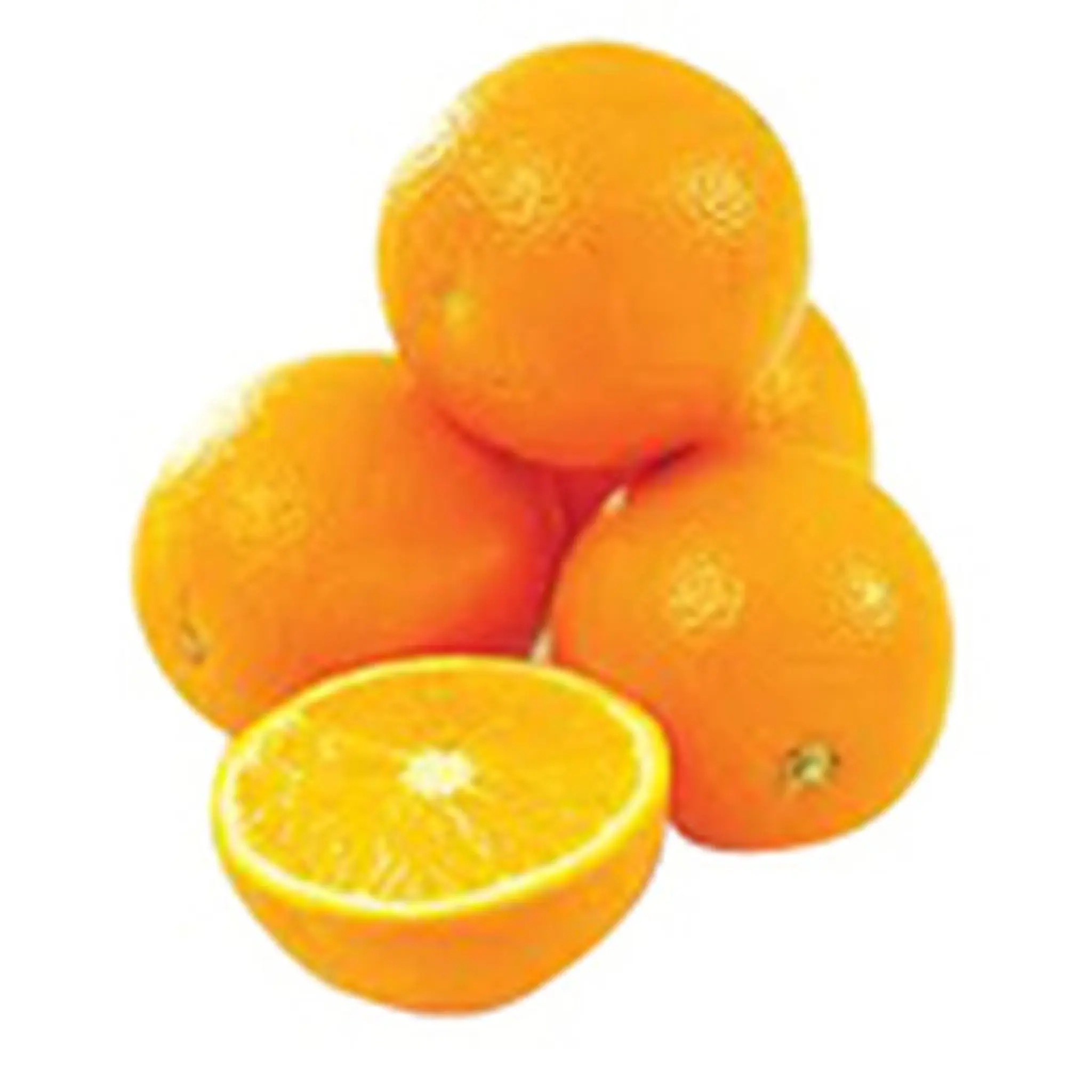 Oranges à déguster 1er prix