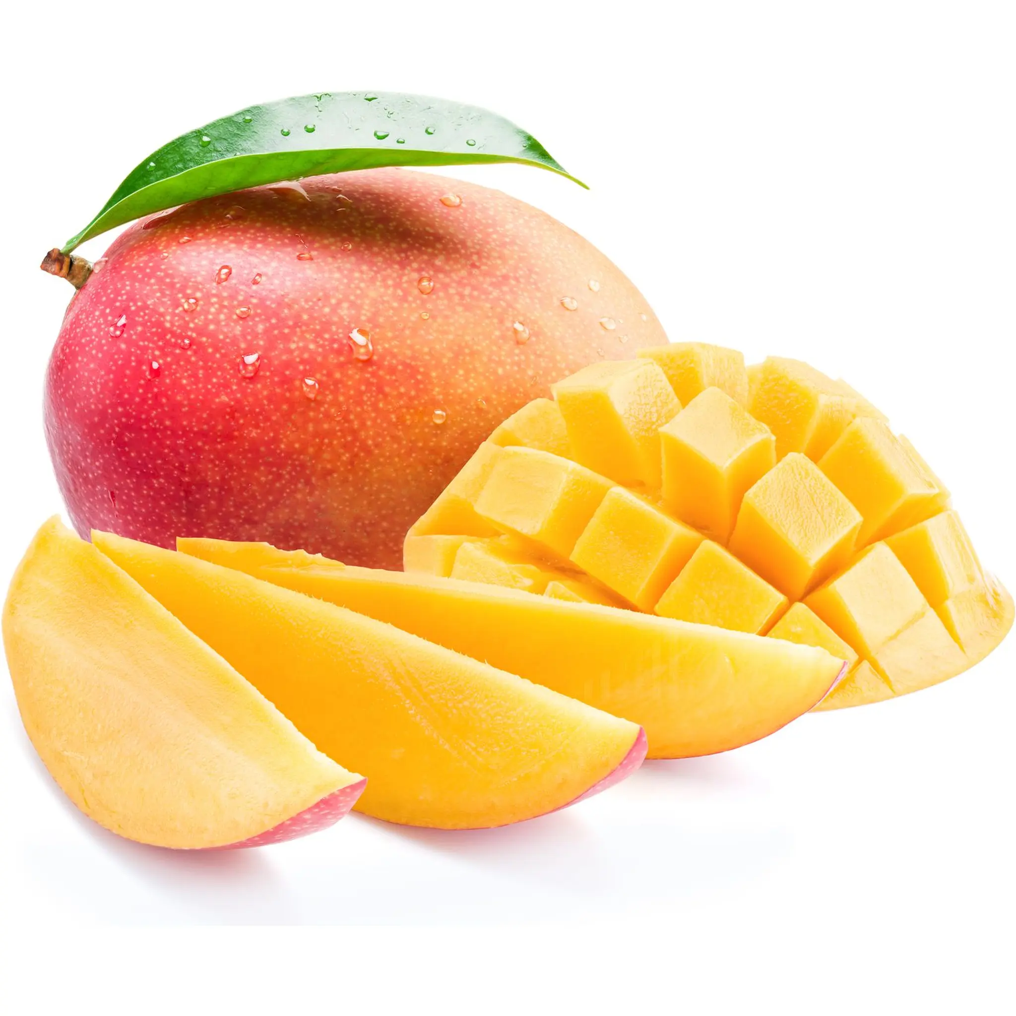 Mangue