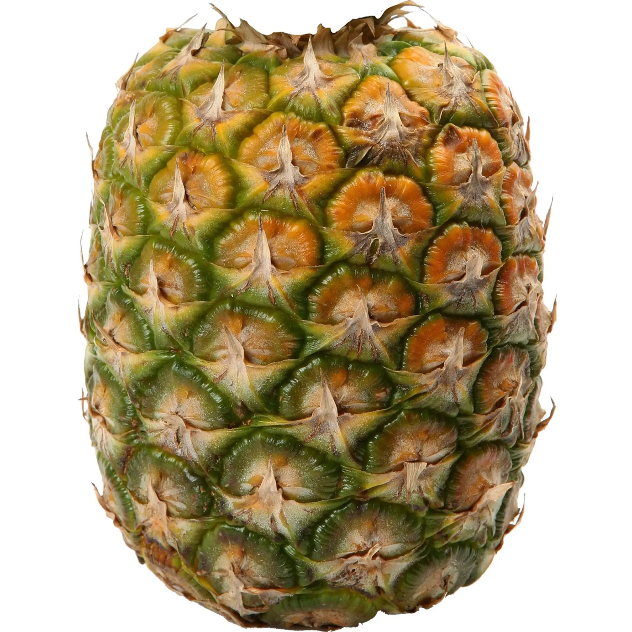 Ananas sans plumet