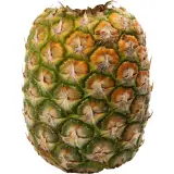 Ananas sans plumet