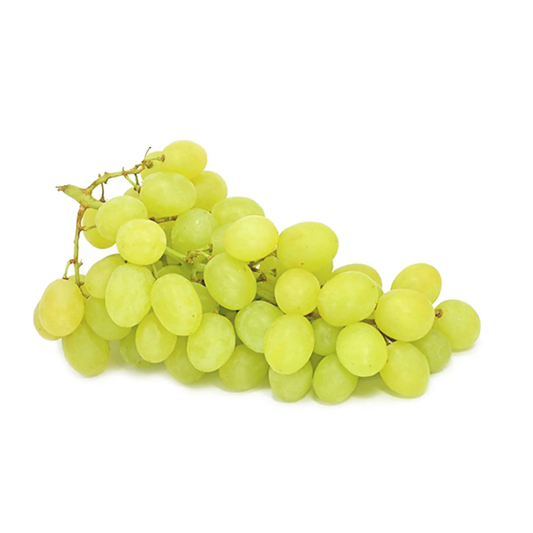 Raisins blancs