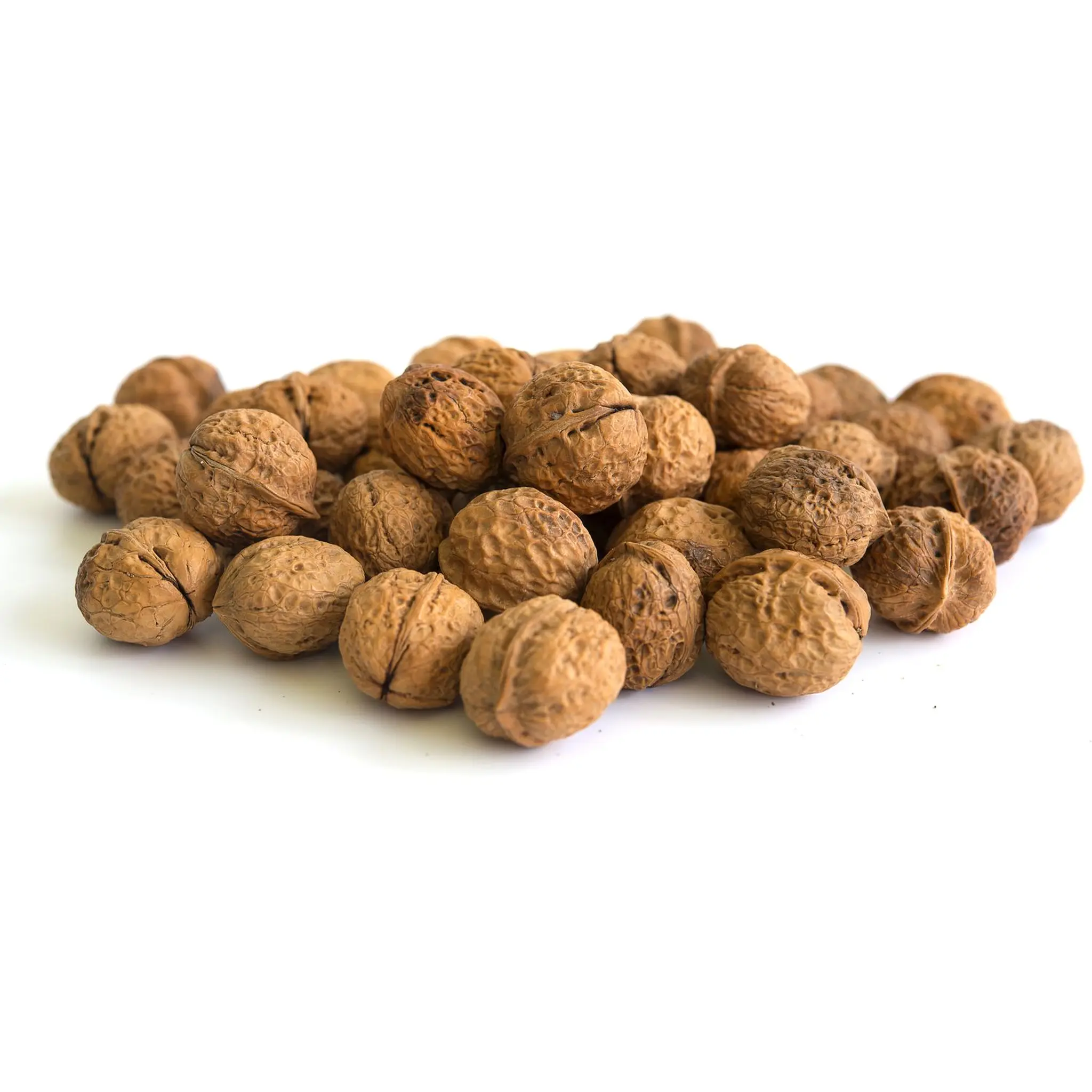 CULTIVONS LE BON Noix AOP