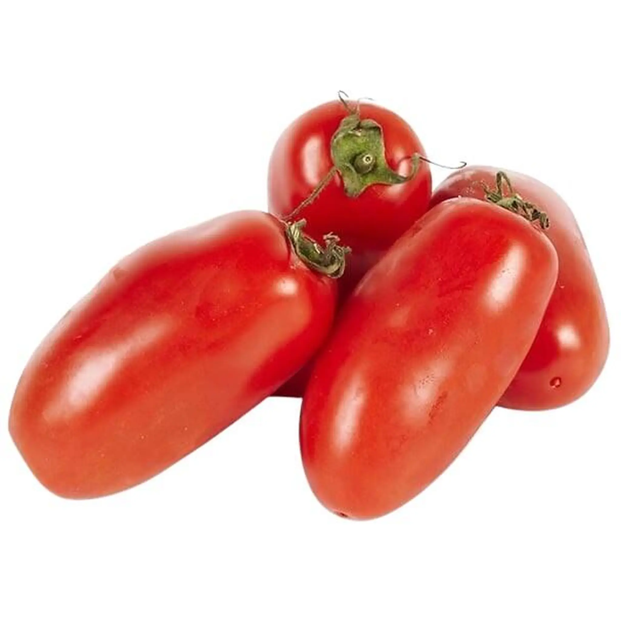 Tomates allongées Torino