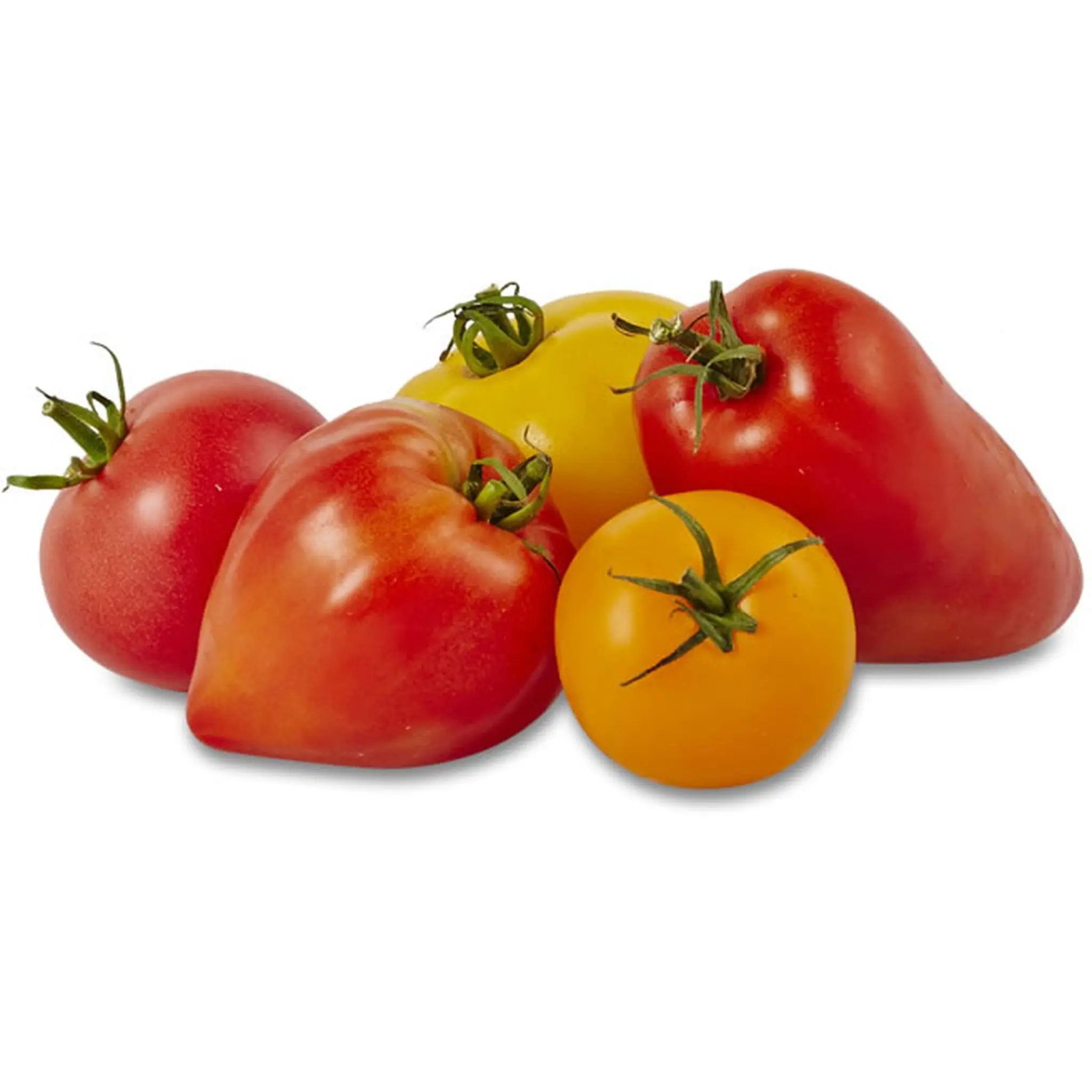 Tomates anciennes mélangées