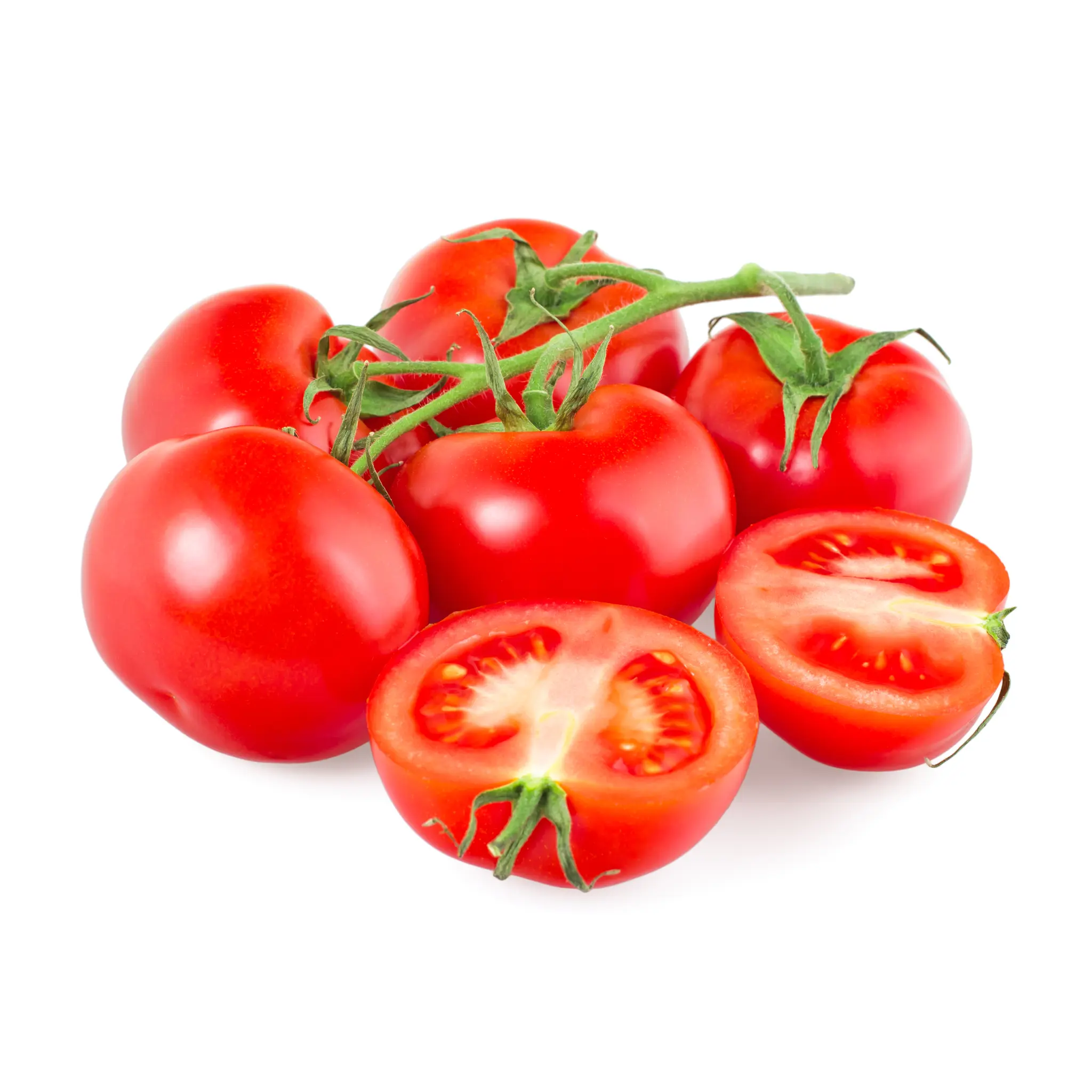 Tomates rondes en grappes bio
