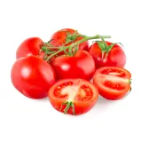 Tomates rondes en grappes bio