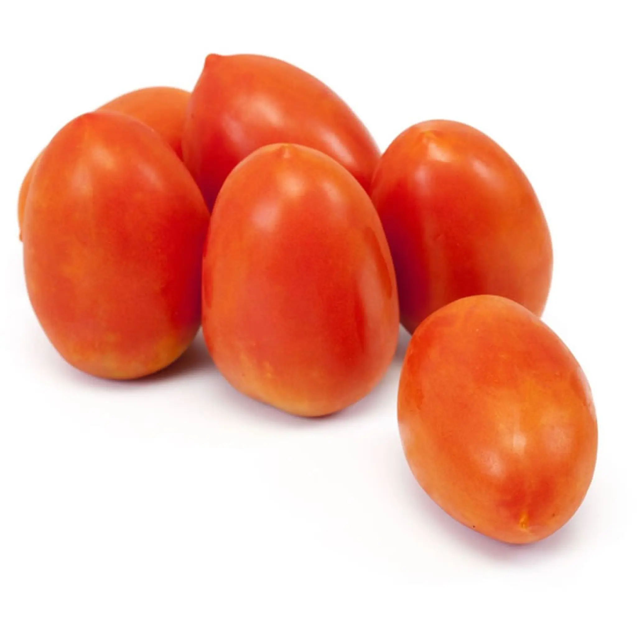 AUCHAN BIO Tomates allongées bio
