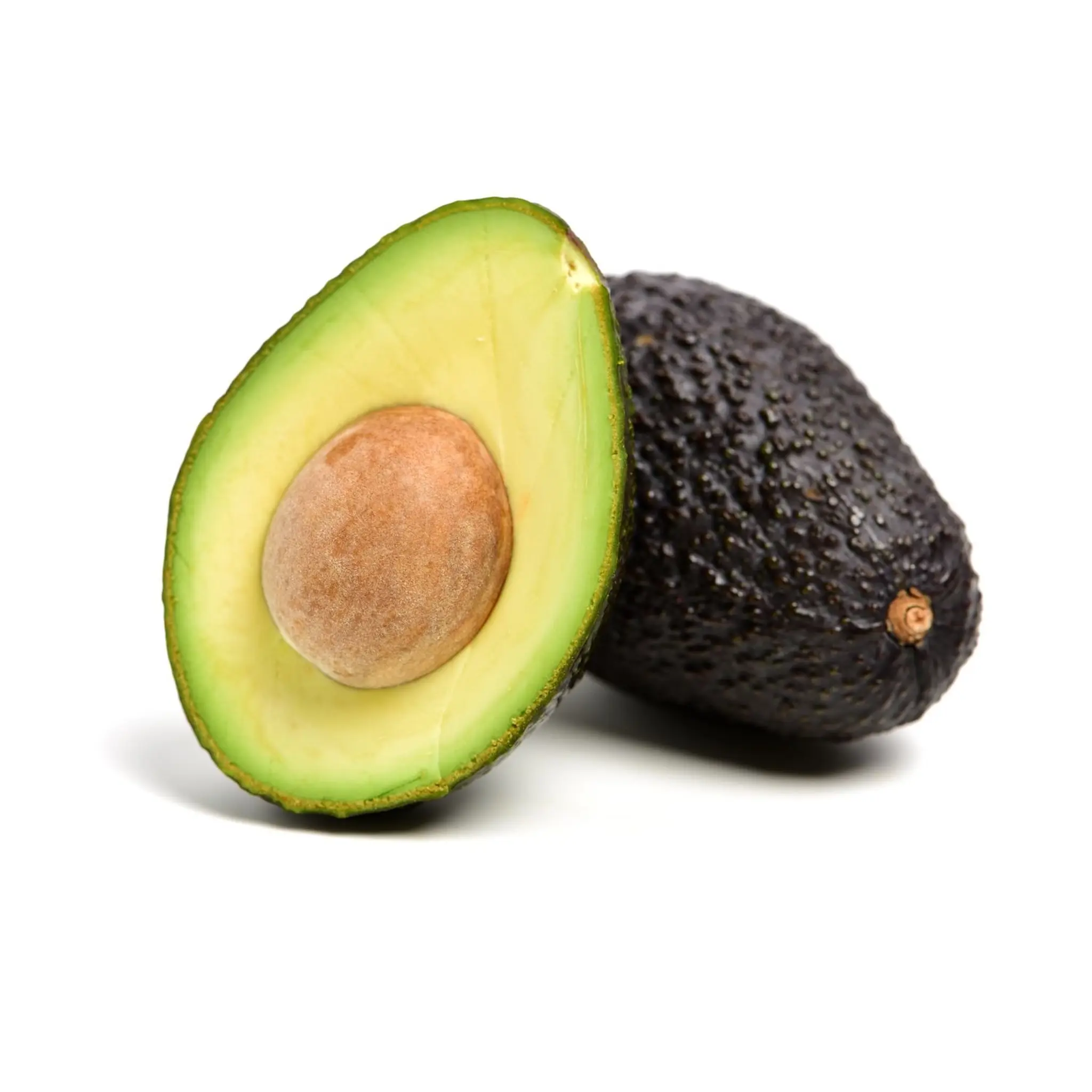 Avocat bio