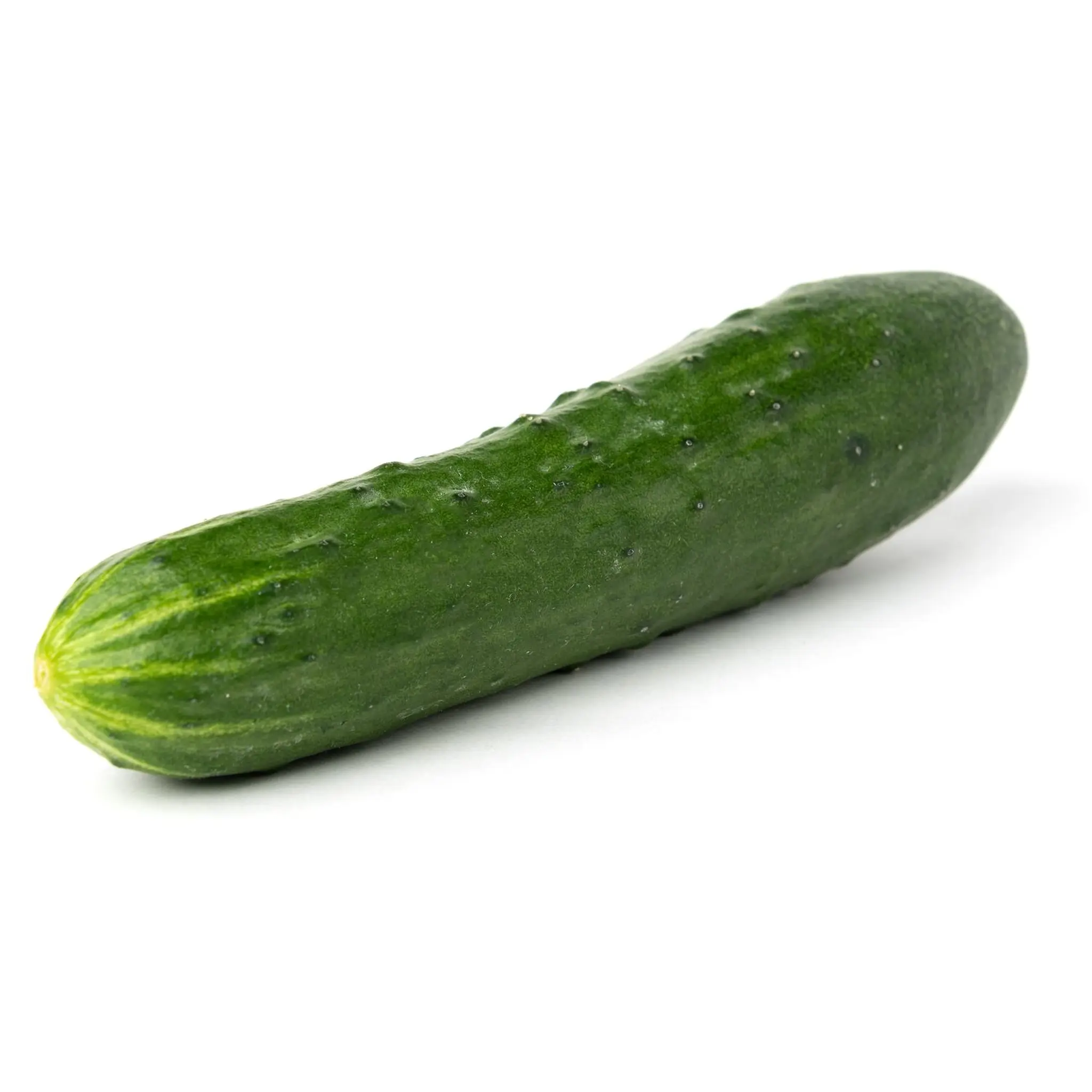 Concombre Noa