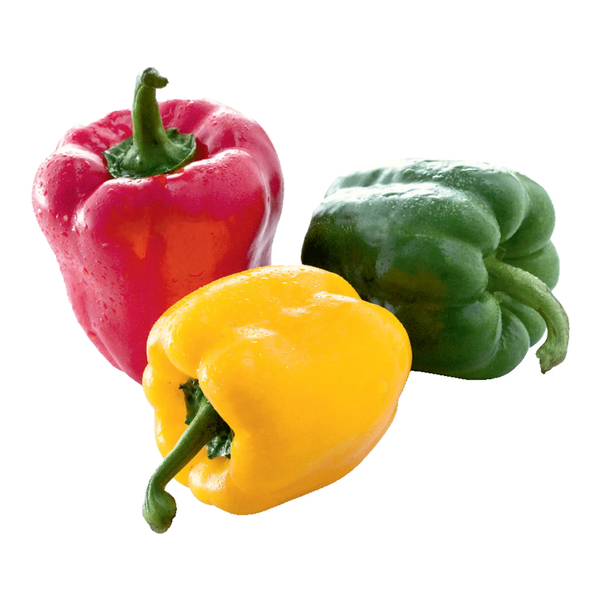 Poivron tricolore en filet