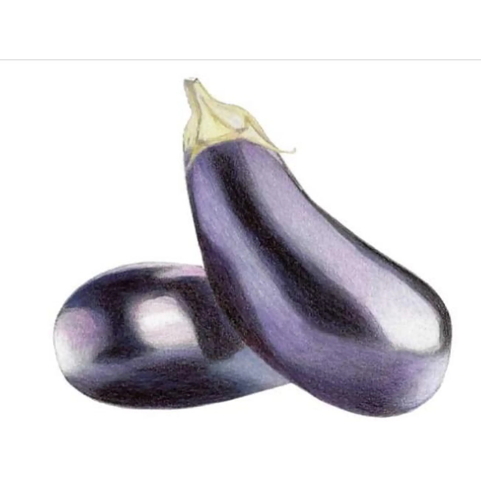 Aubergines