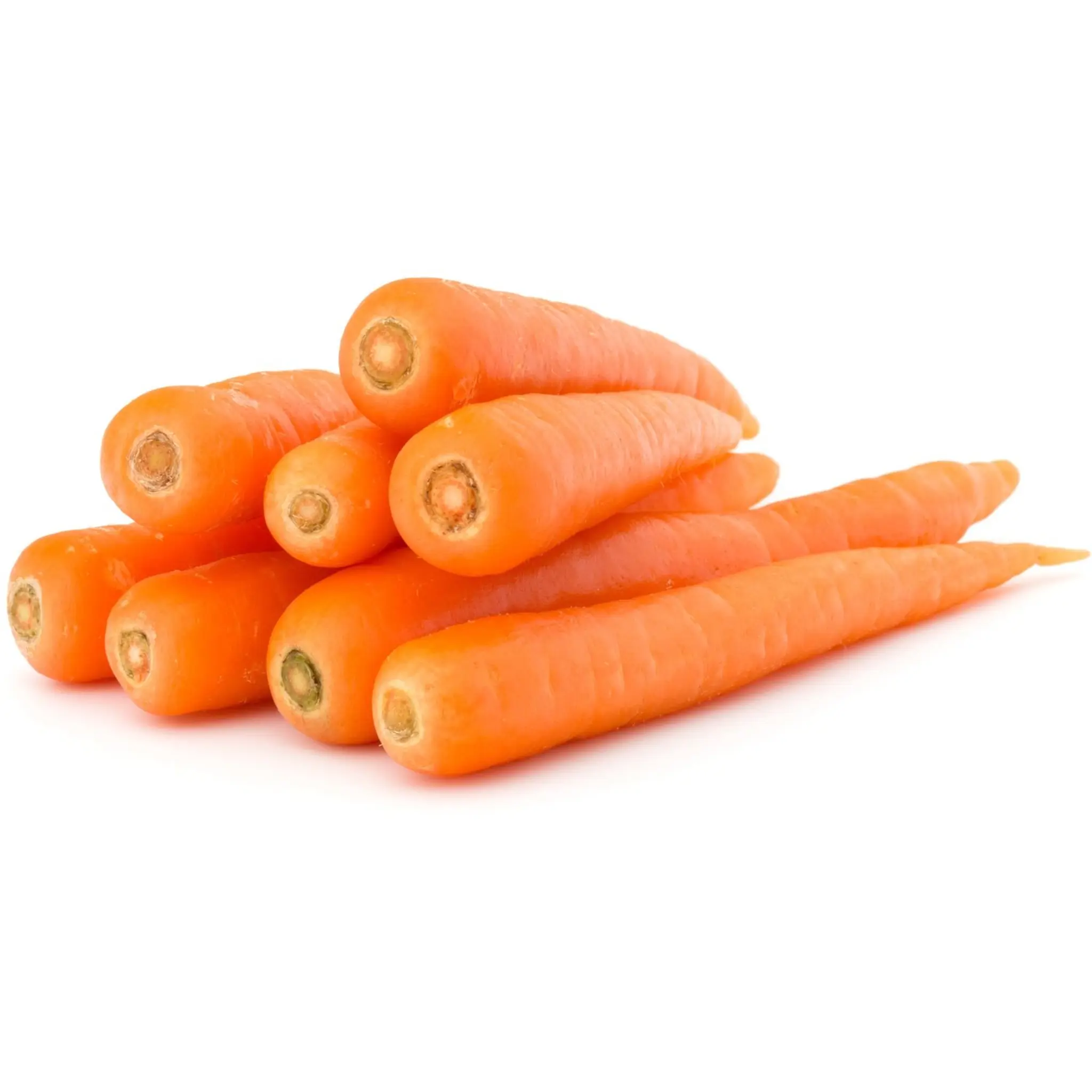 Carottes