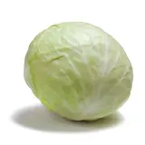 Chou blanc
