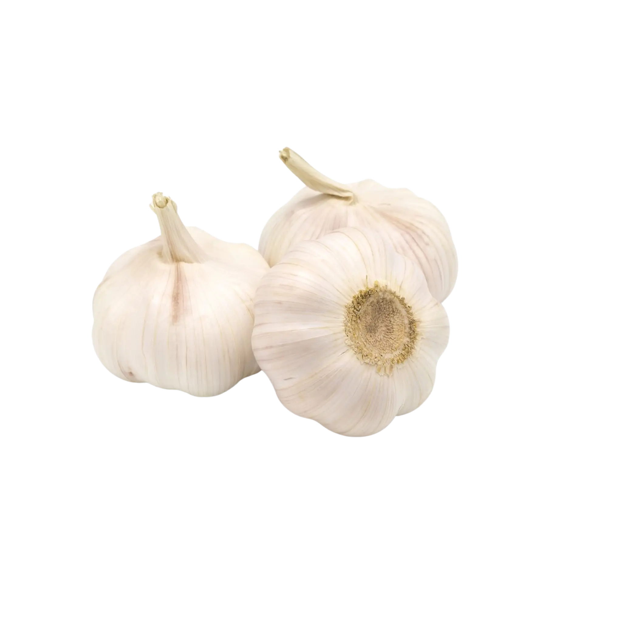 AUCHAN BIO Ail bio