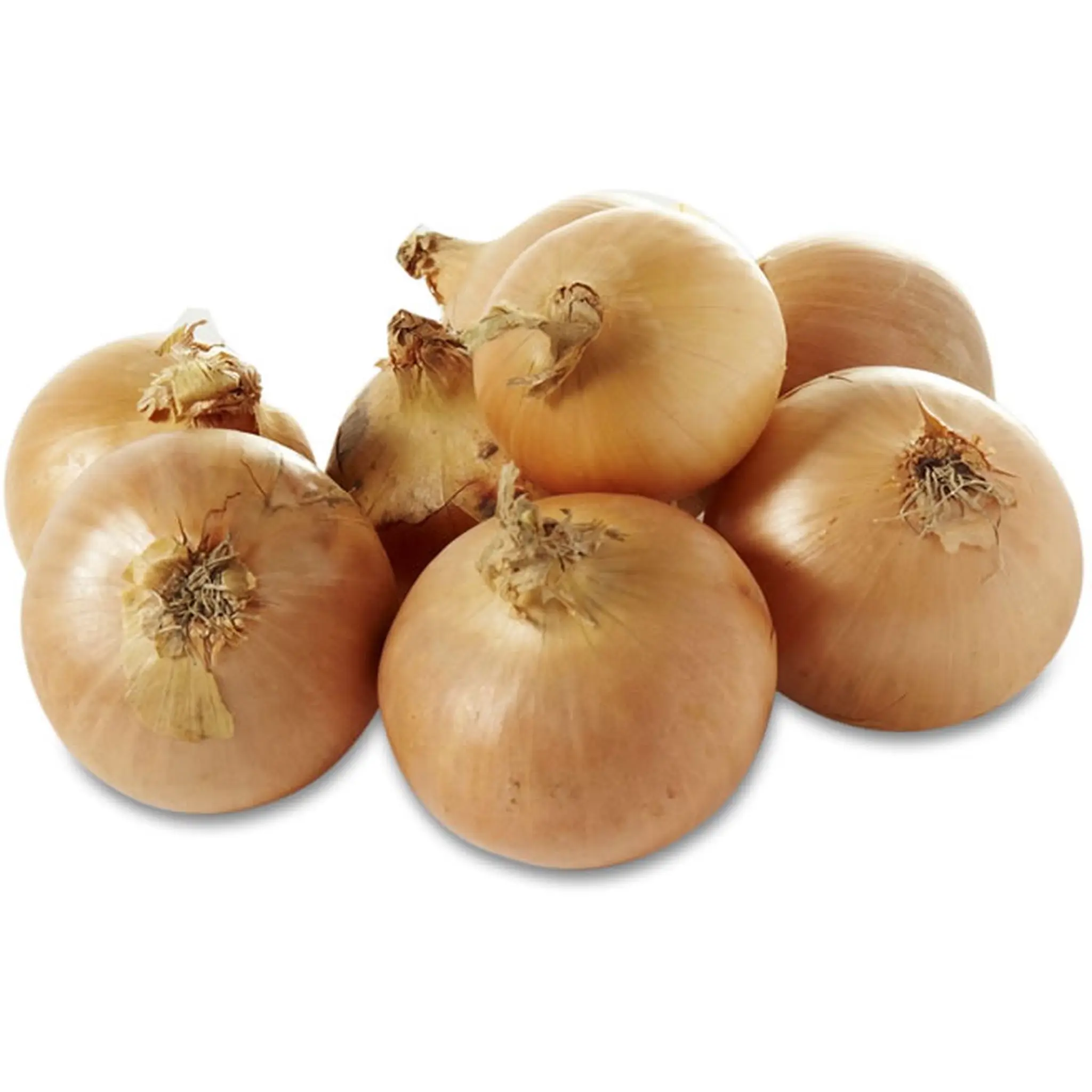 AUCHAN BIO Oignons