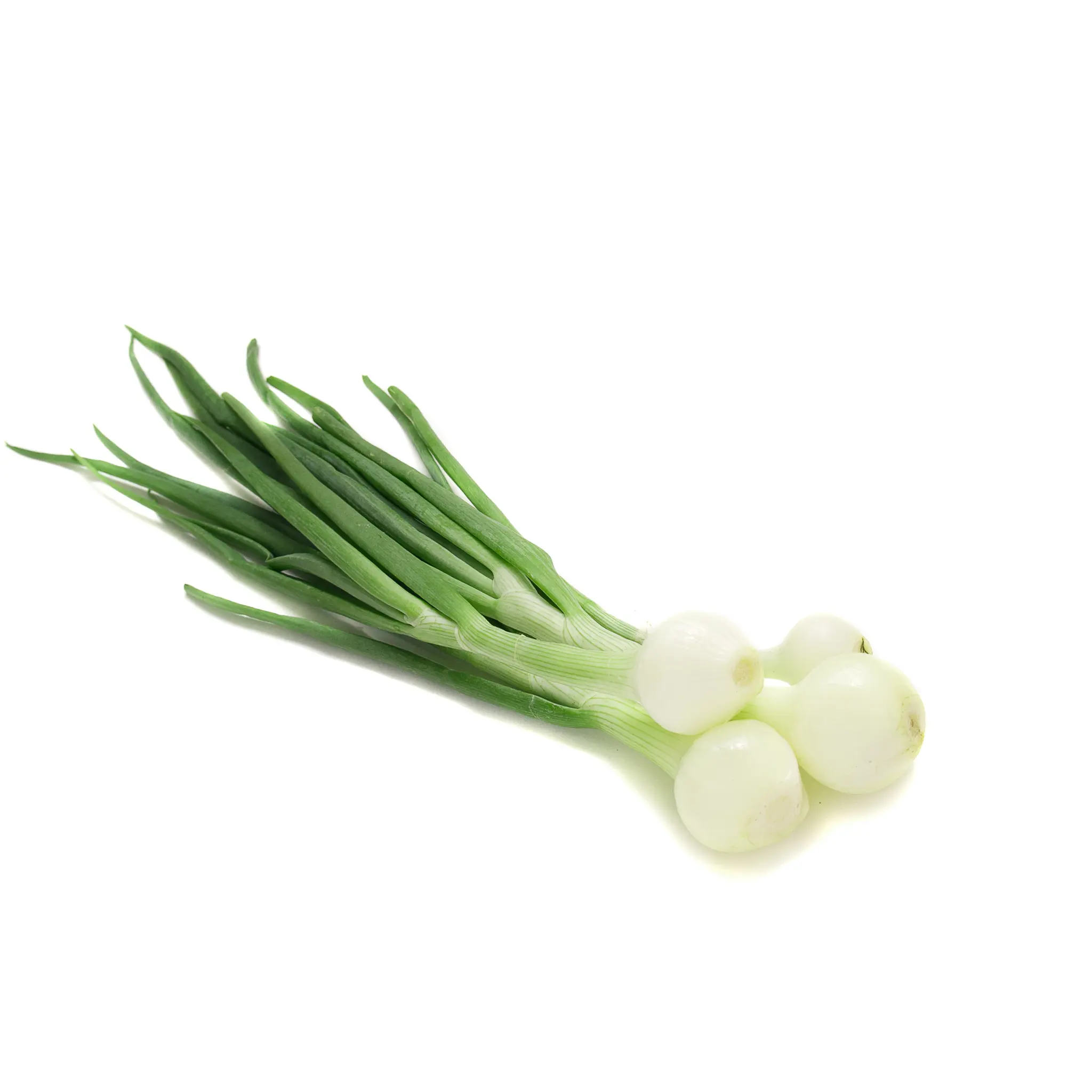 Oignons blancs