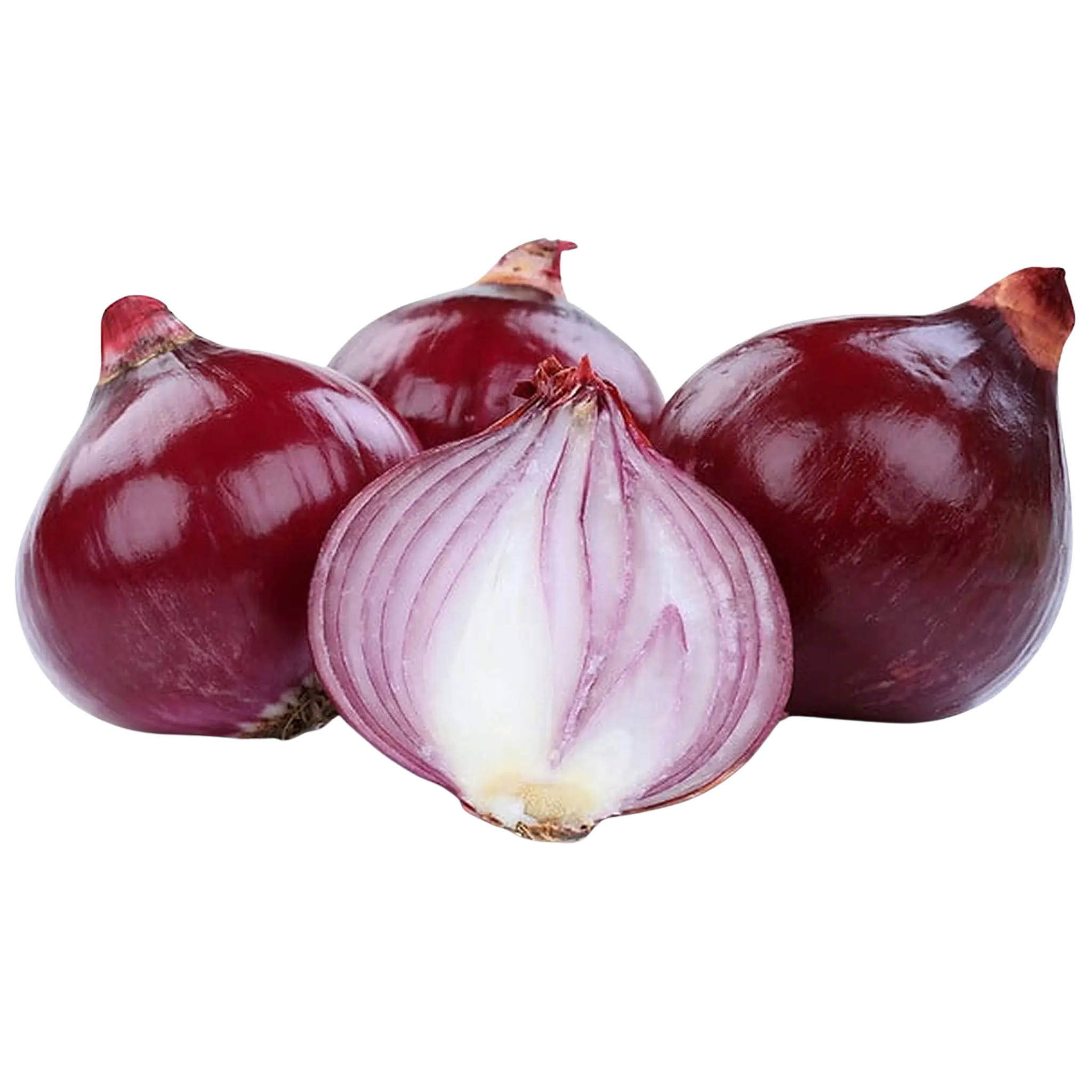 AUCHAN BIO Oignons rouges