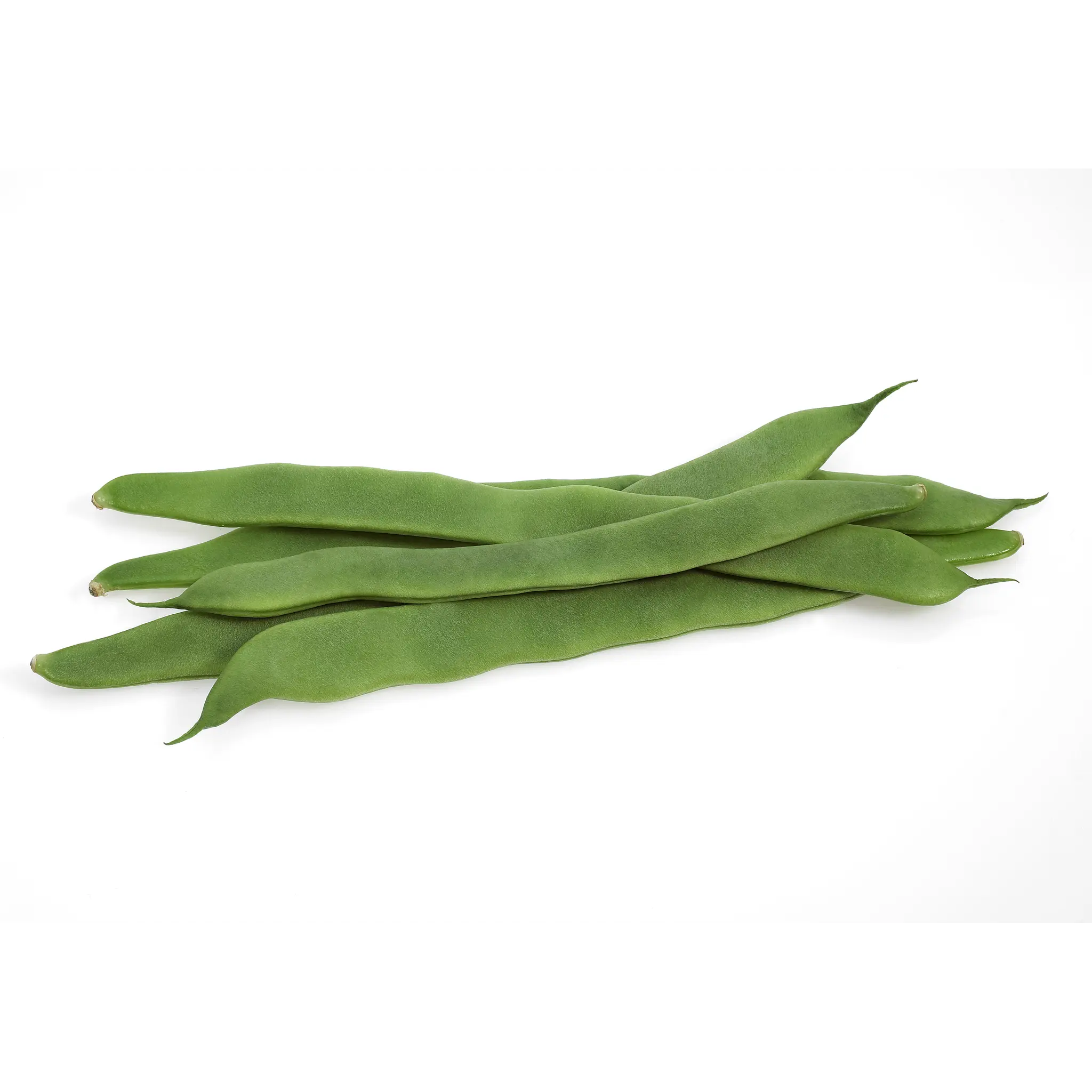 Haricots coco plats