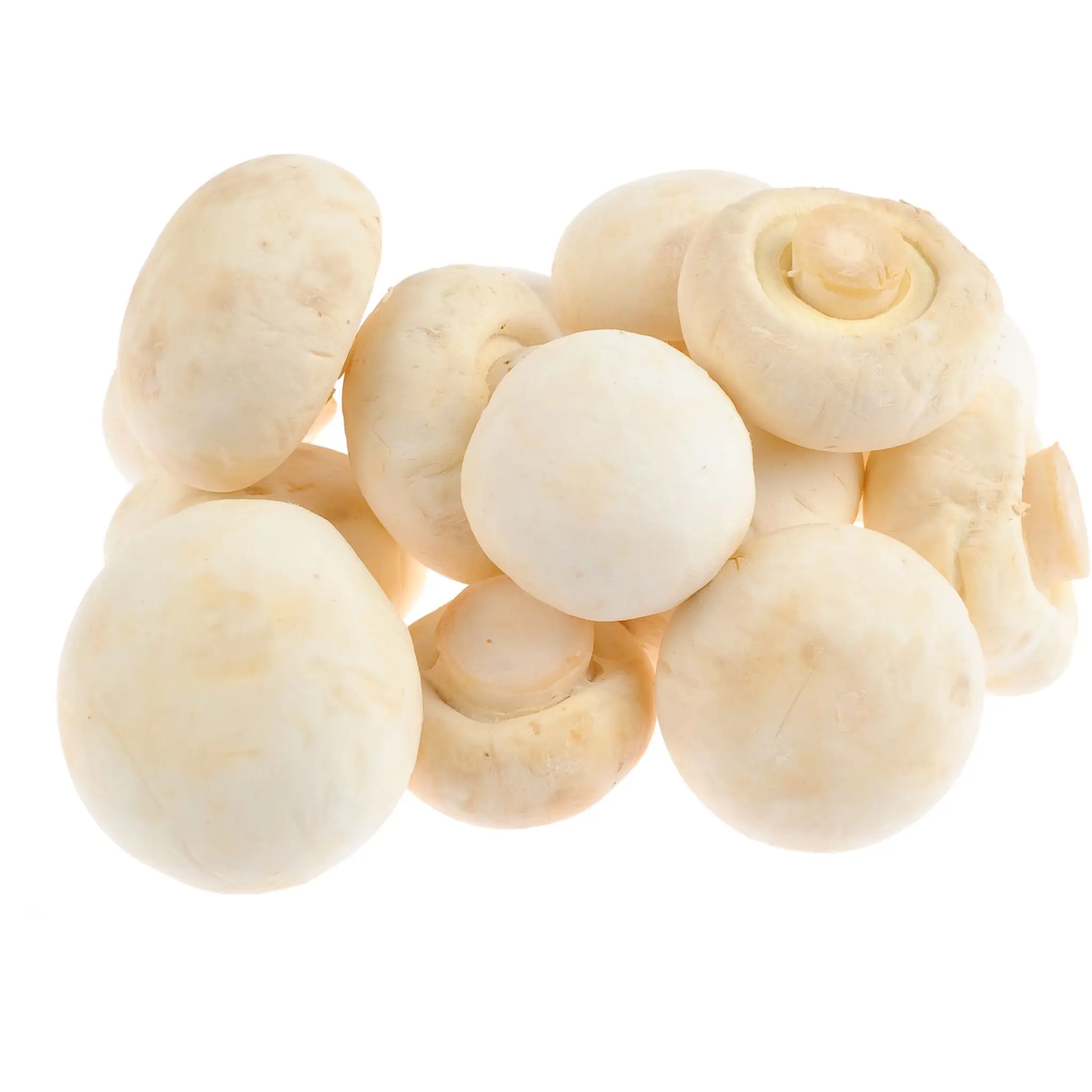 Champignons blancs pieds coupés