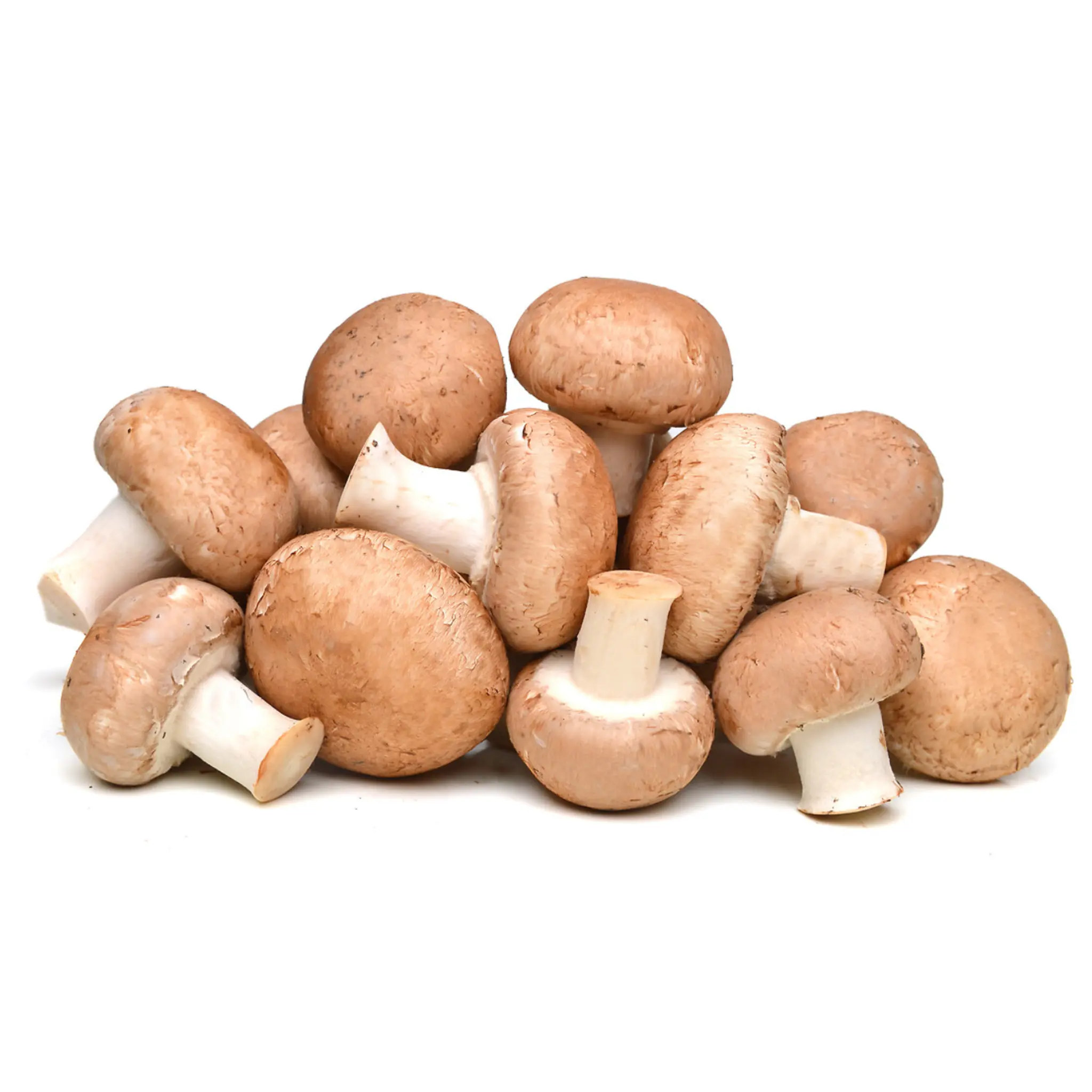Champignon brun pied coupé