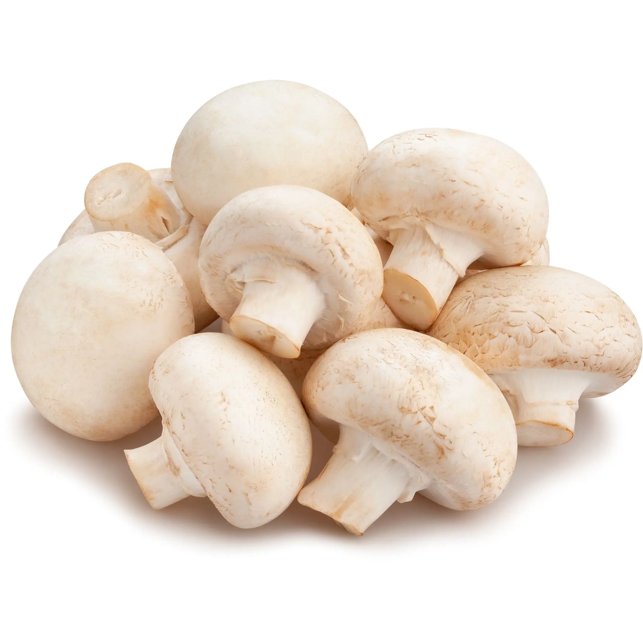 AUCHAN BIO Champignons blancs