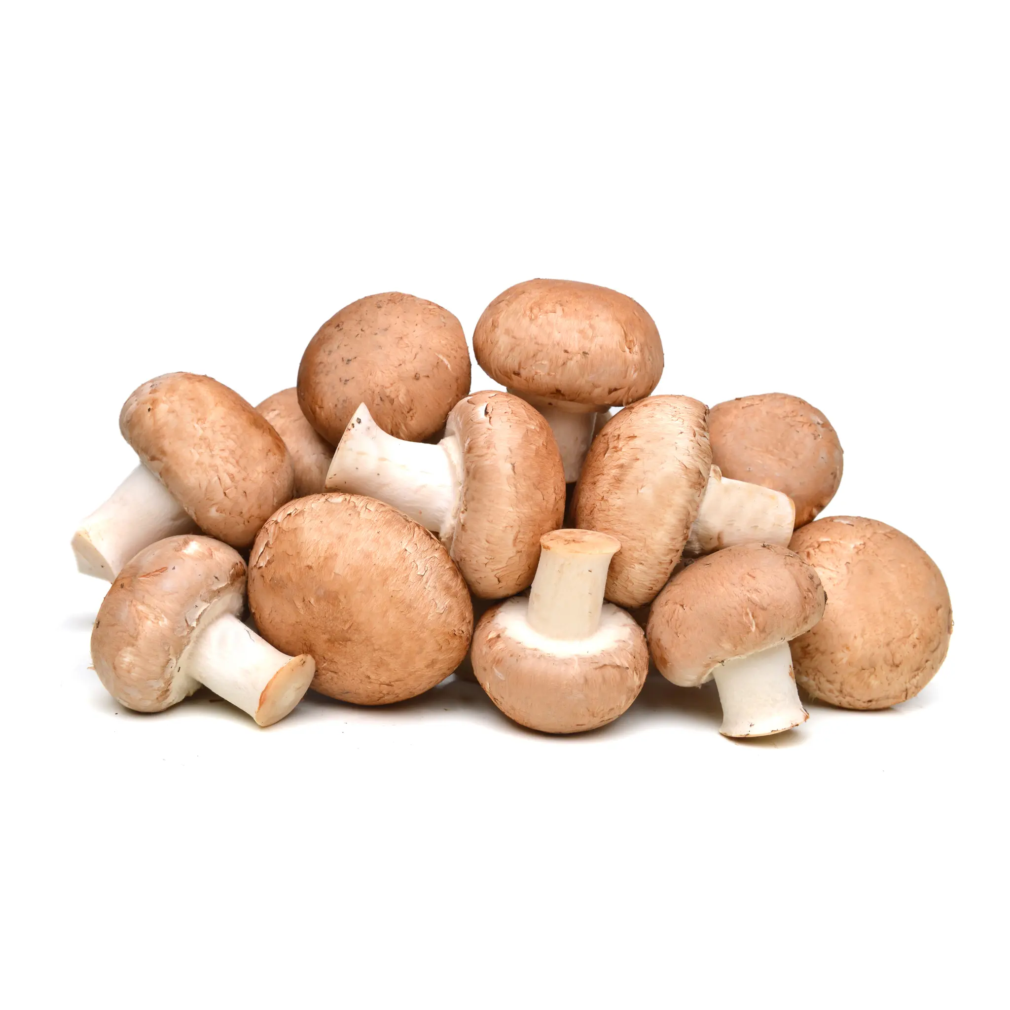 AUCHAN BIO Champignons bruns