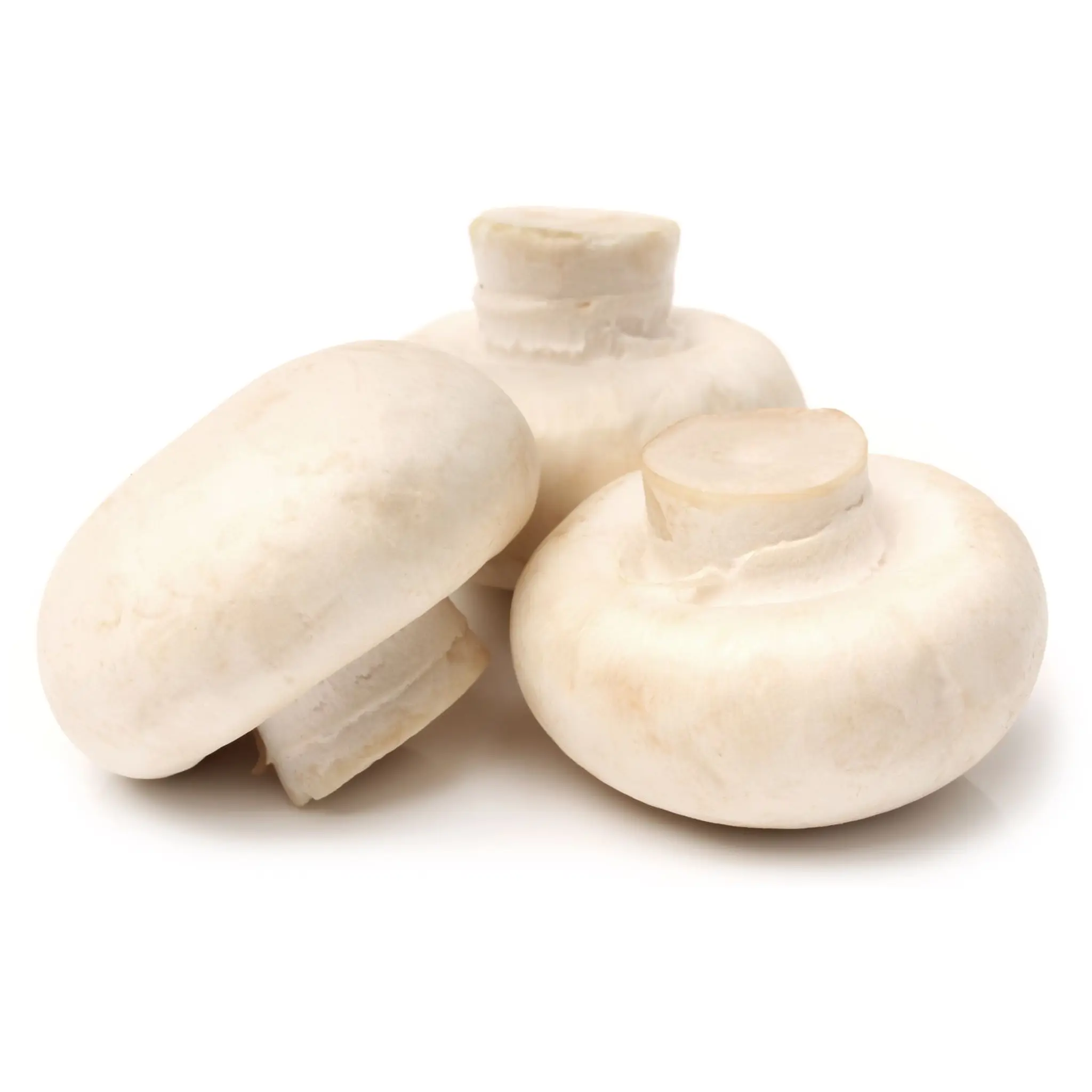 Champignons blancs pieds coupés