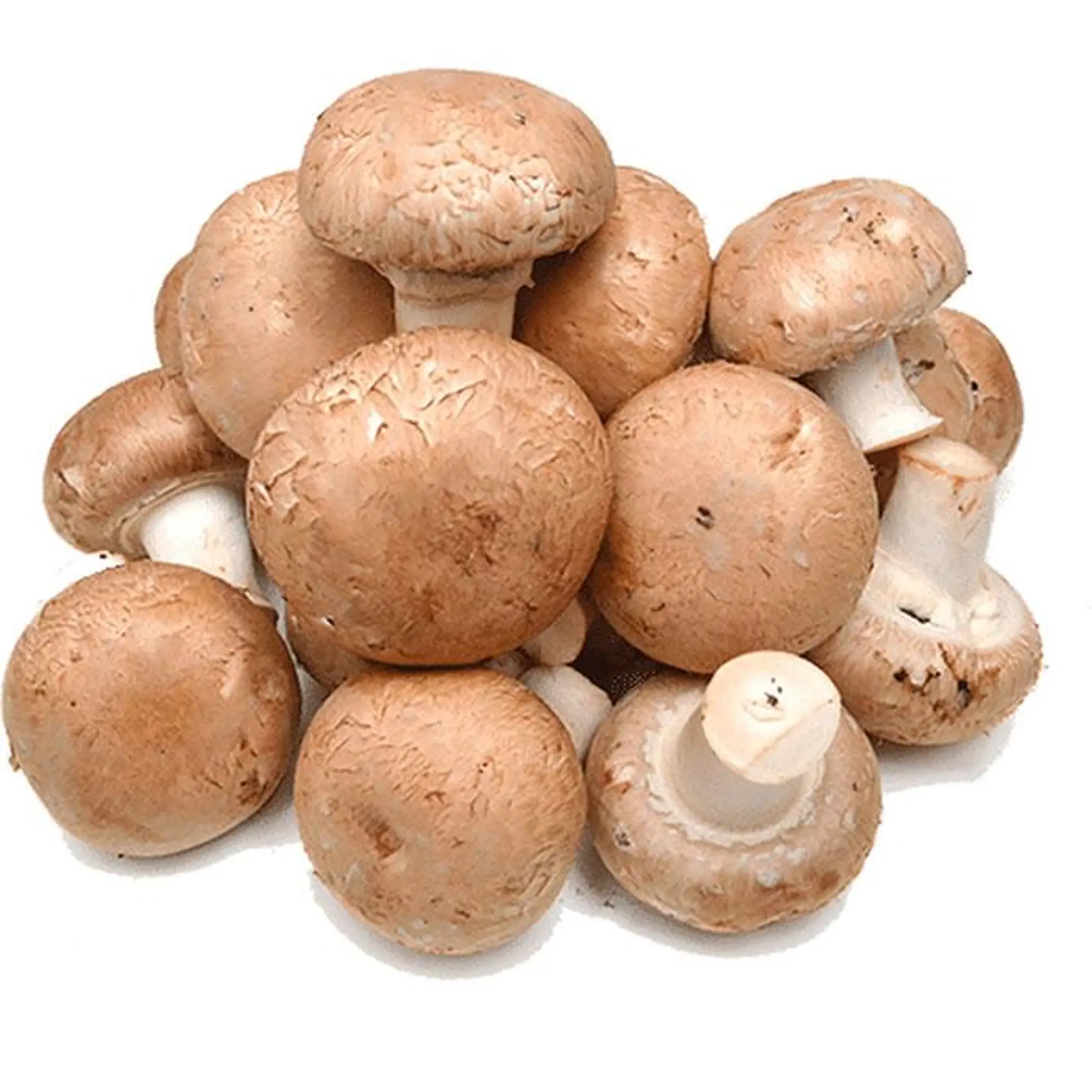 Champignons rosés pieds coupés