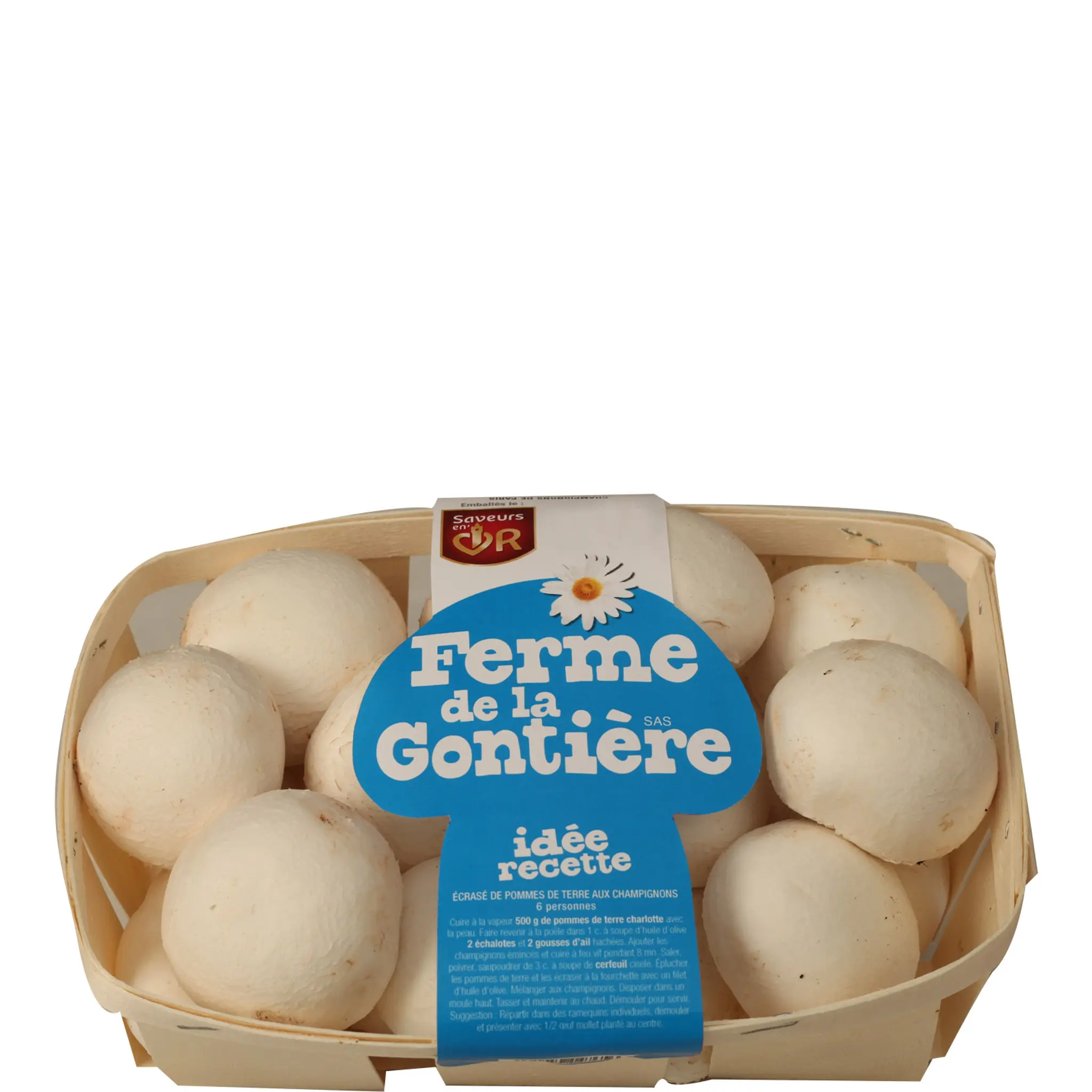 Champignons blancs pieds coupés