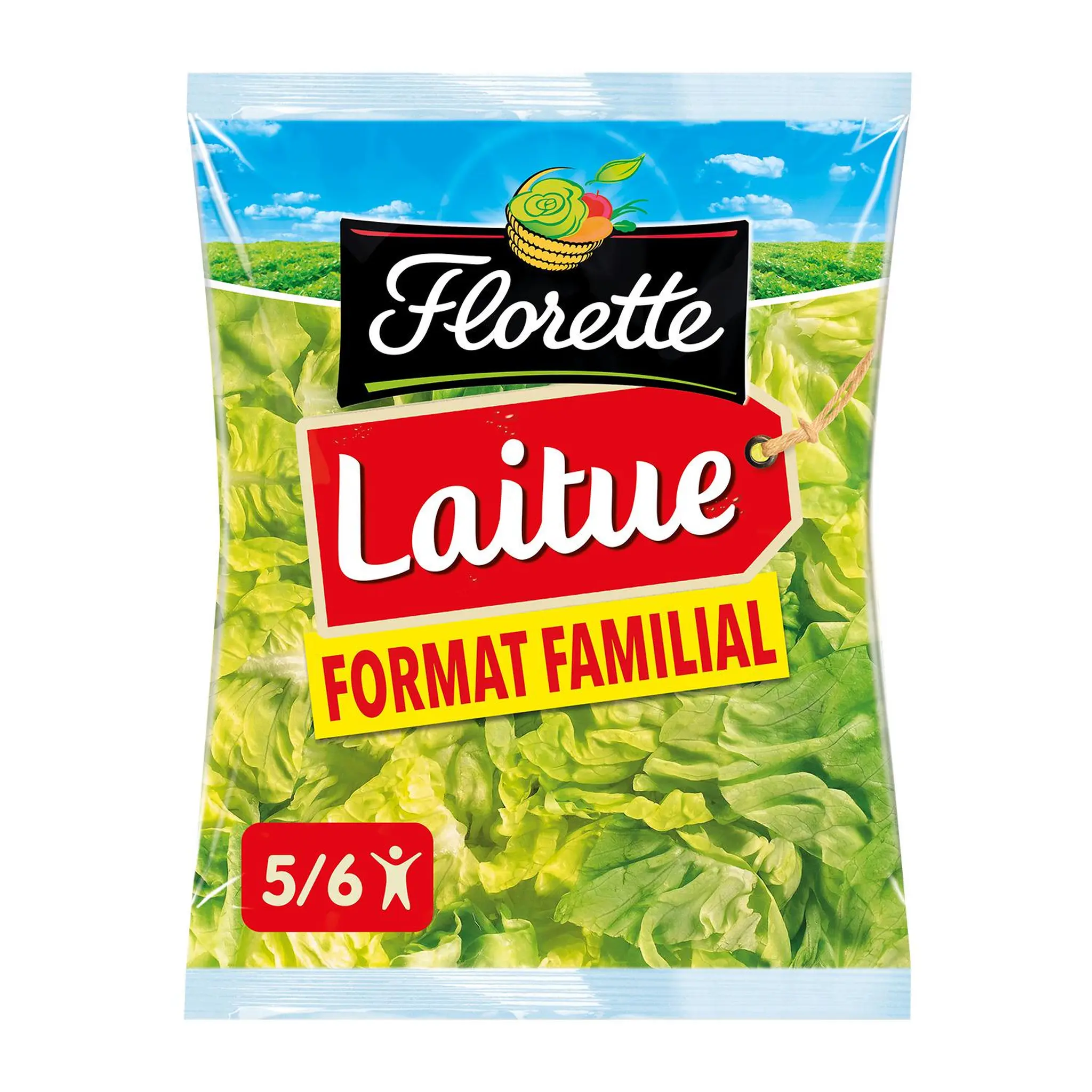 FLORETTE Laitue format familial