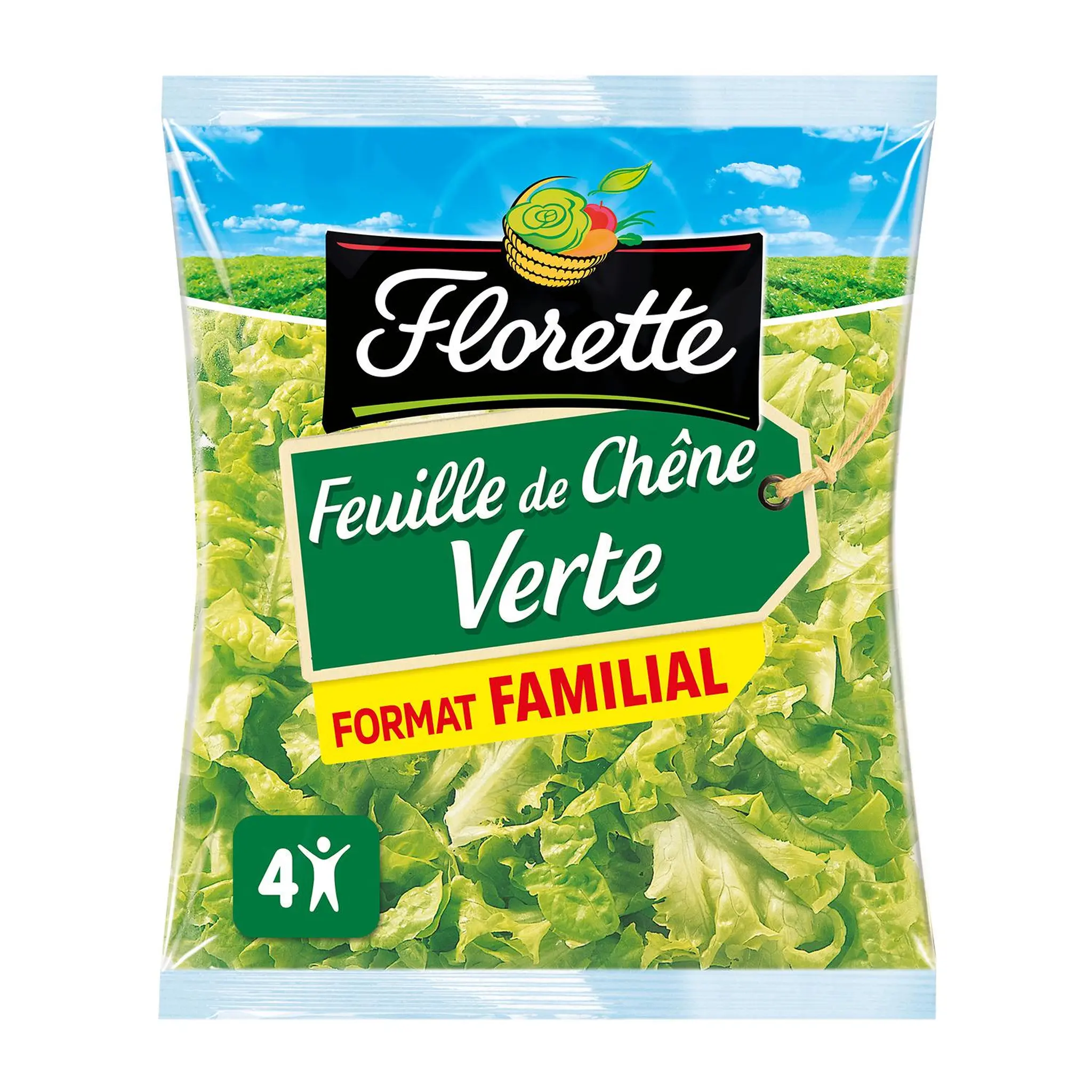 FLORETTE Feuille de chêne verte format familial