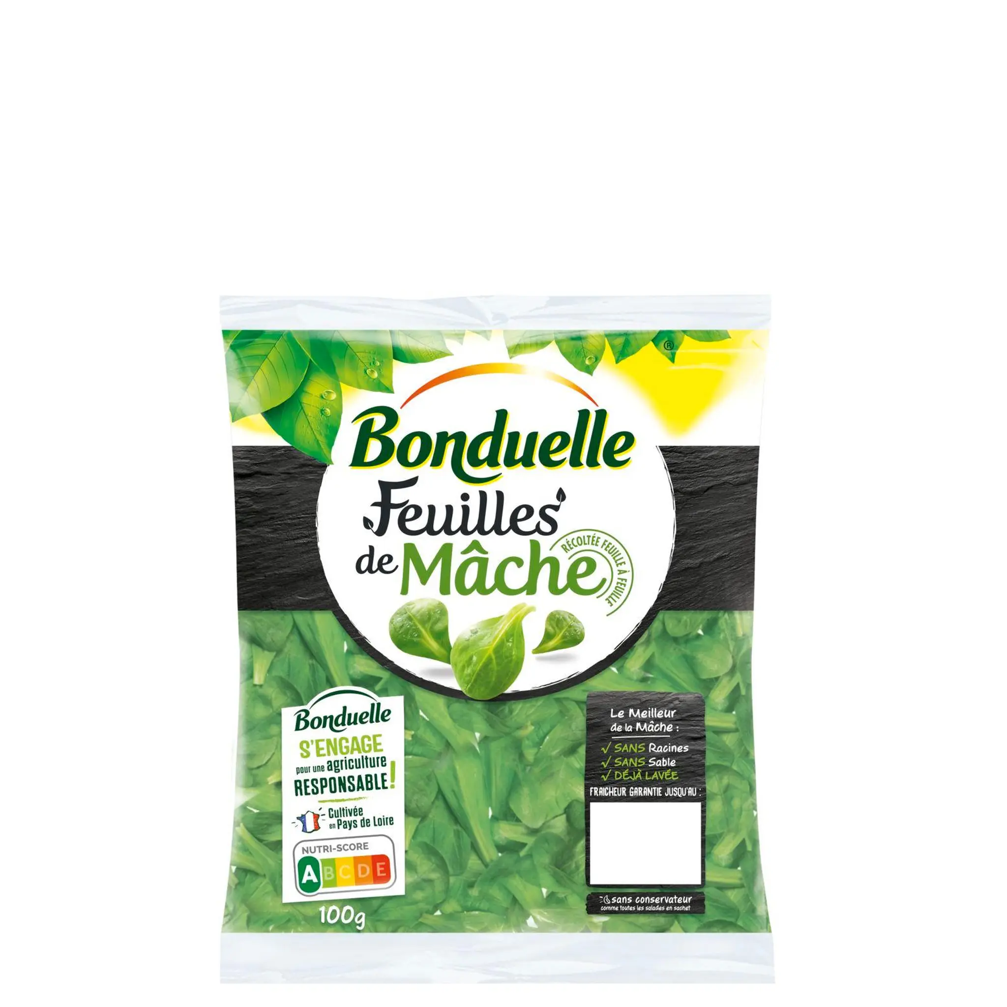 BONDUELLE Feuilles de mâche
