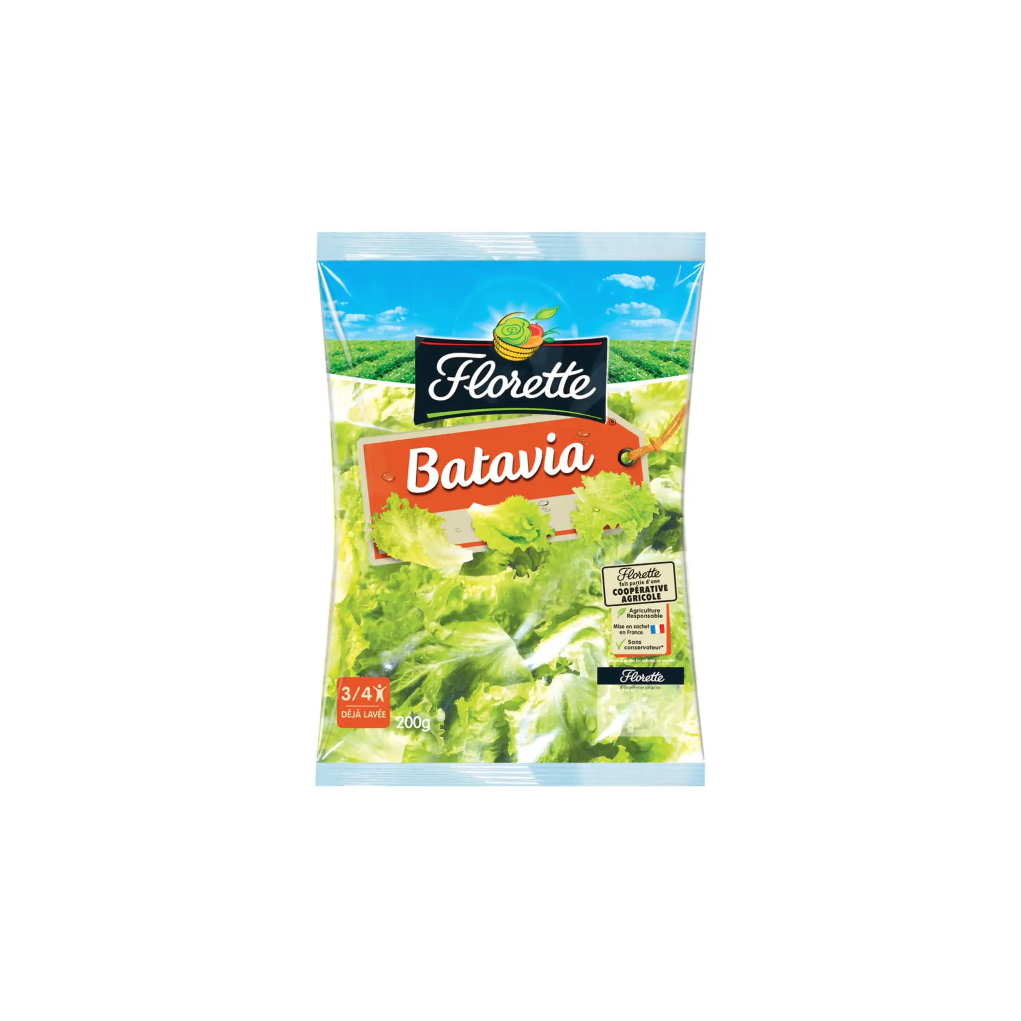 FLORETTE Batavia