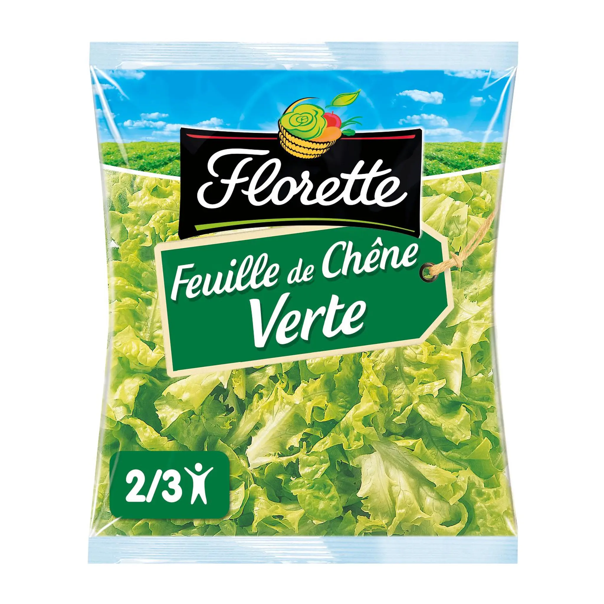 FLORETTE Feuille de chêne verte
