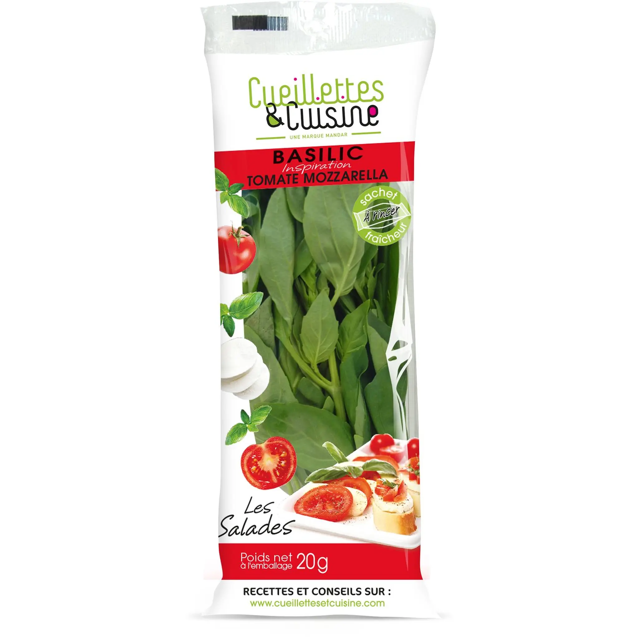 Basilic frais en barquette