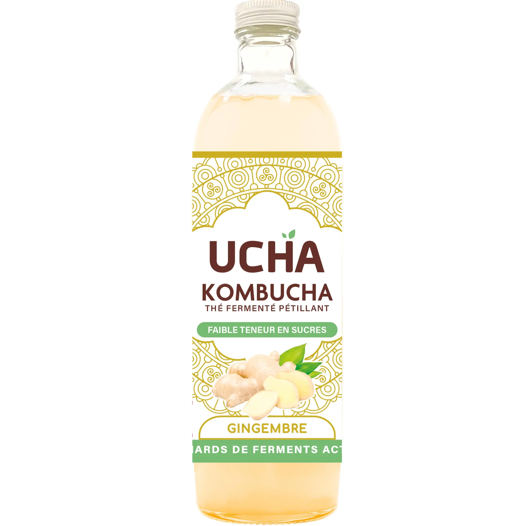 UCHA Kombucha thé fermenté pétillant bio au gingembre faible teneur en sucres