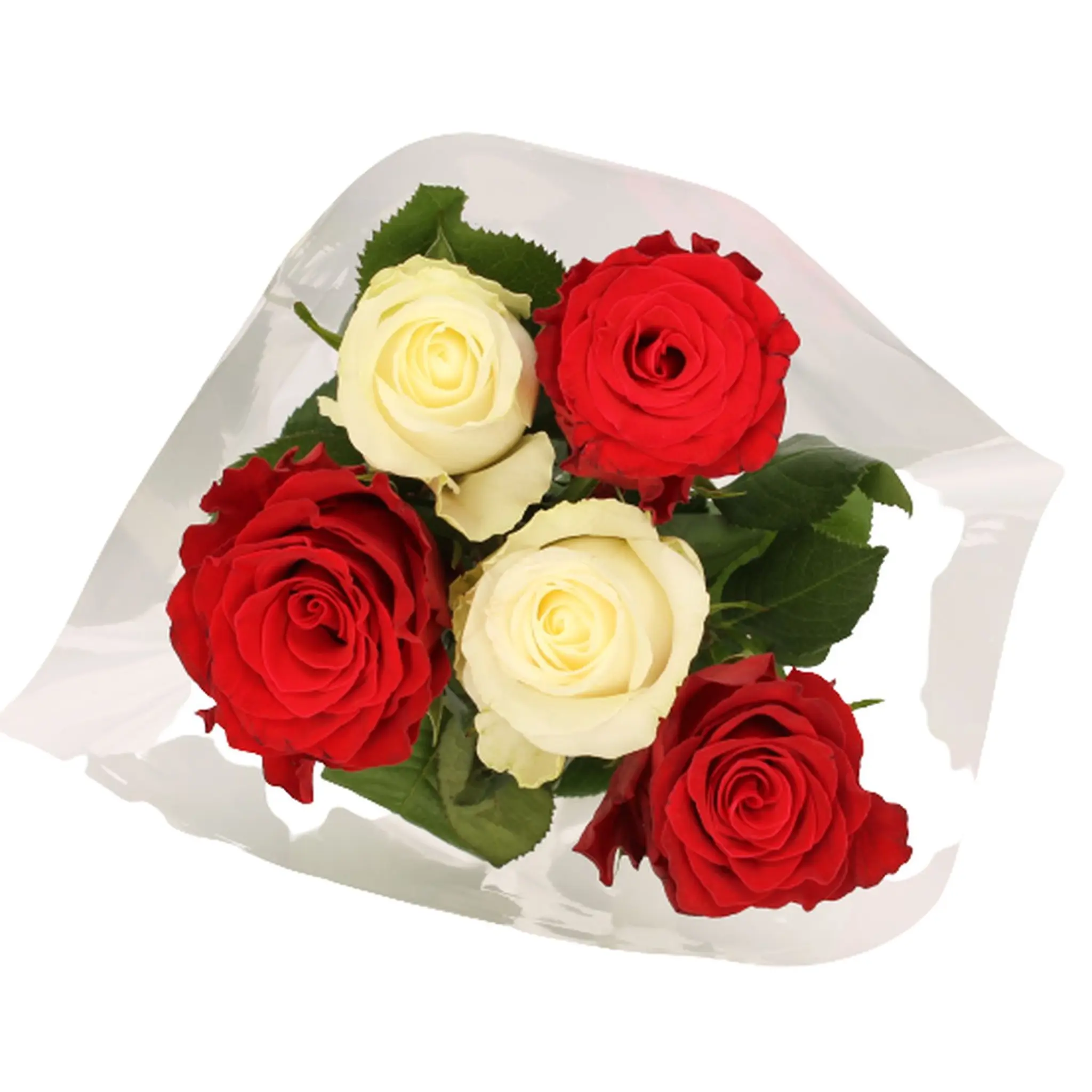 FLEURS Bouquet de 5 roses arlequin