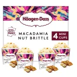 HAAGEN DAZS Mini pots crème glacée Vanille Macadamia